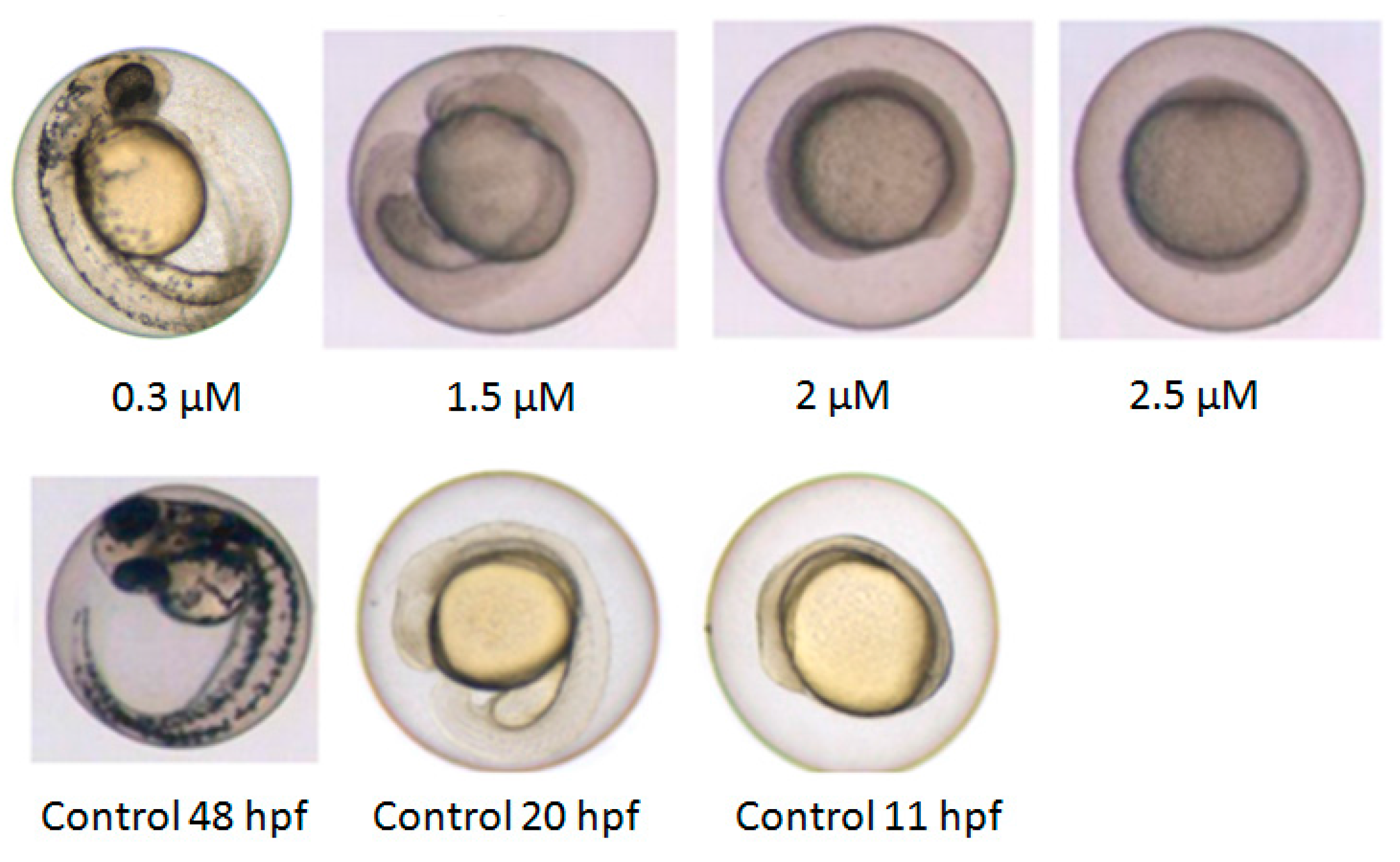 Ijms 18 00970 g001 550