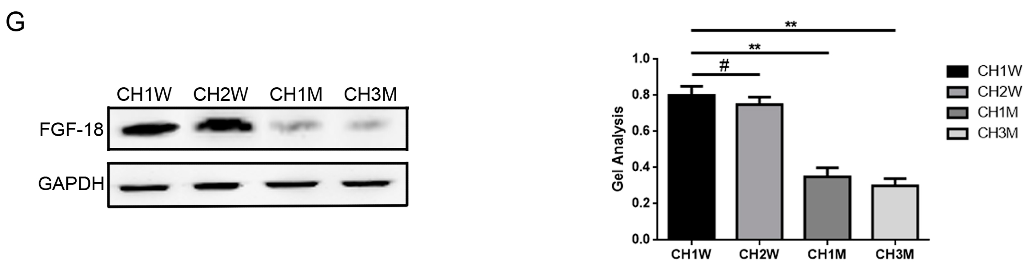Ijms 18 00975 g001b 550