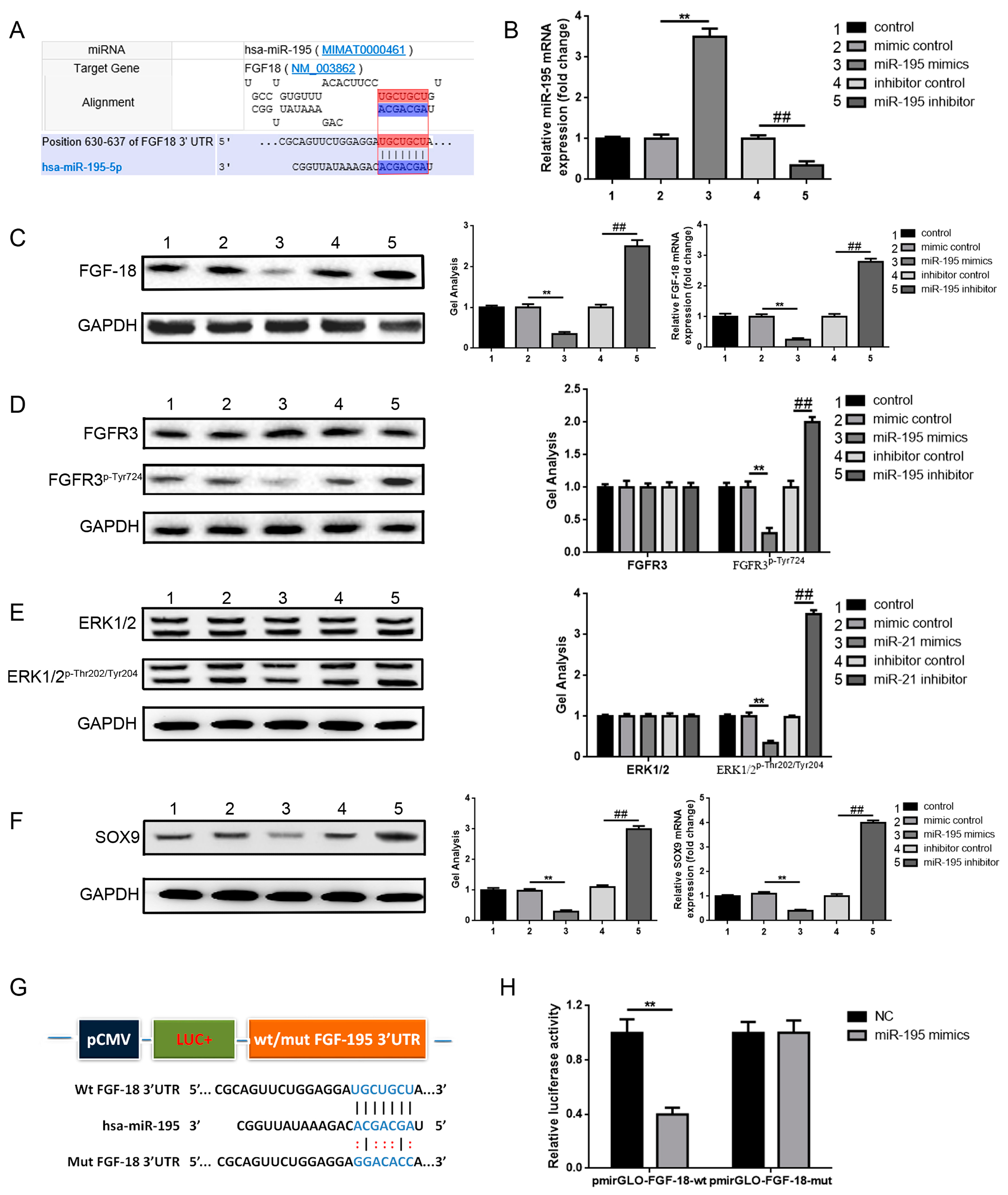 Ijms 18 00975 g003 550
