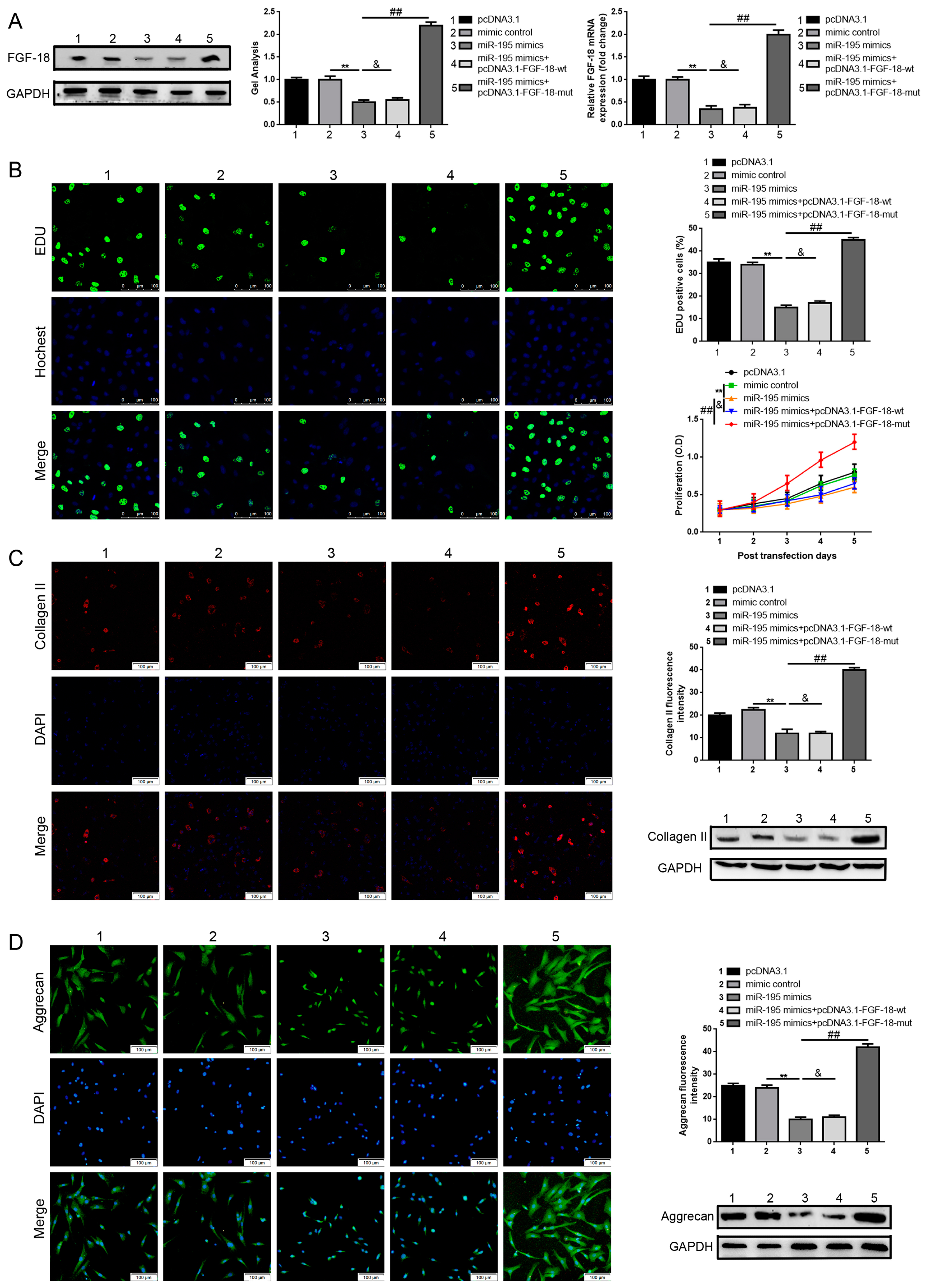 Ijms 18 00975 g004 550