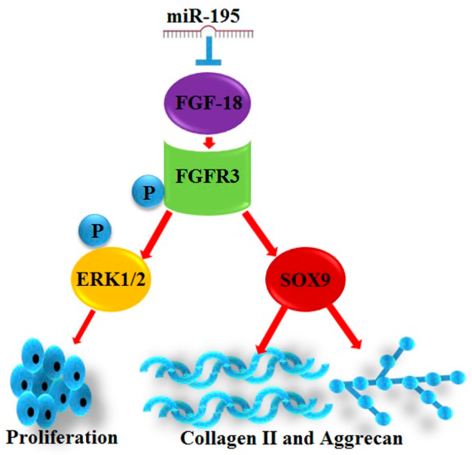 Ijms 18 00975 g006 550