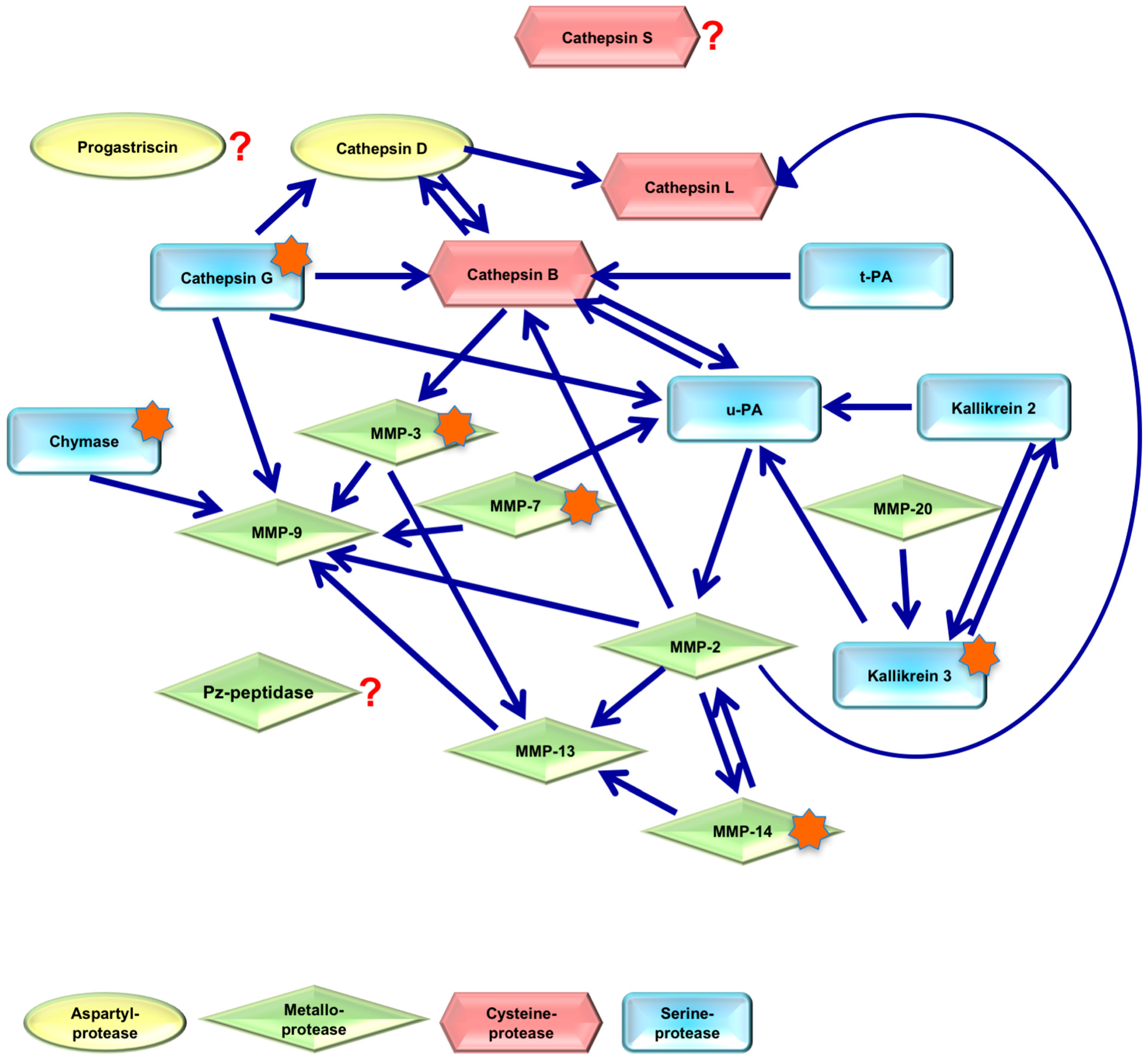 Ijms 18 00976 g007 550