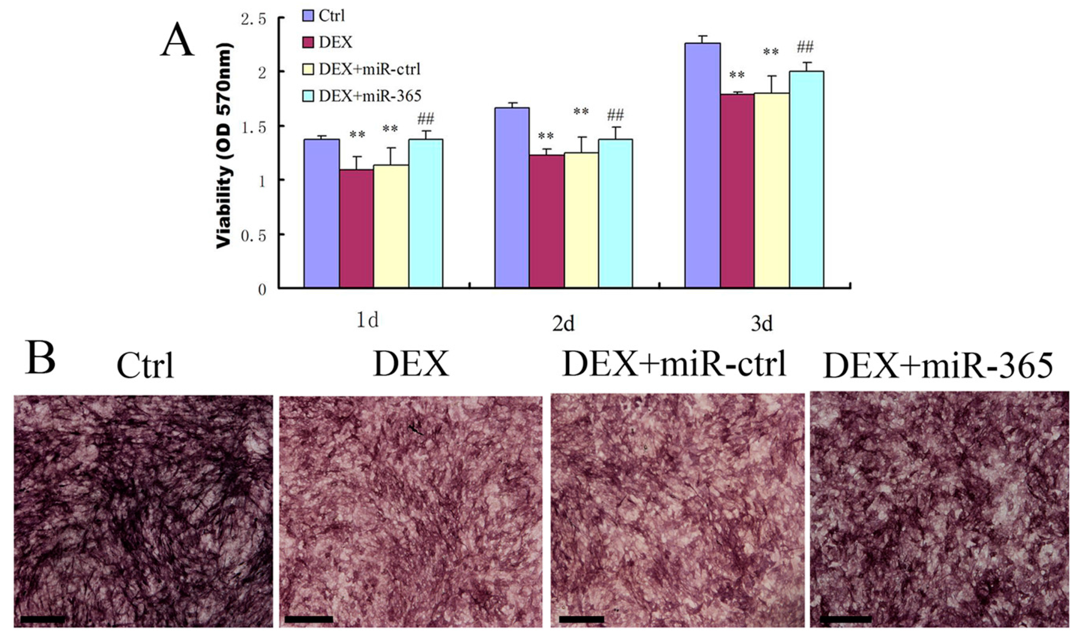 Ijms 18 00977 g002 550