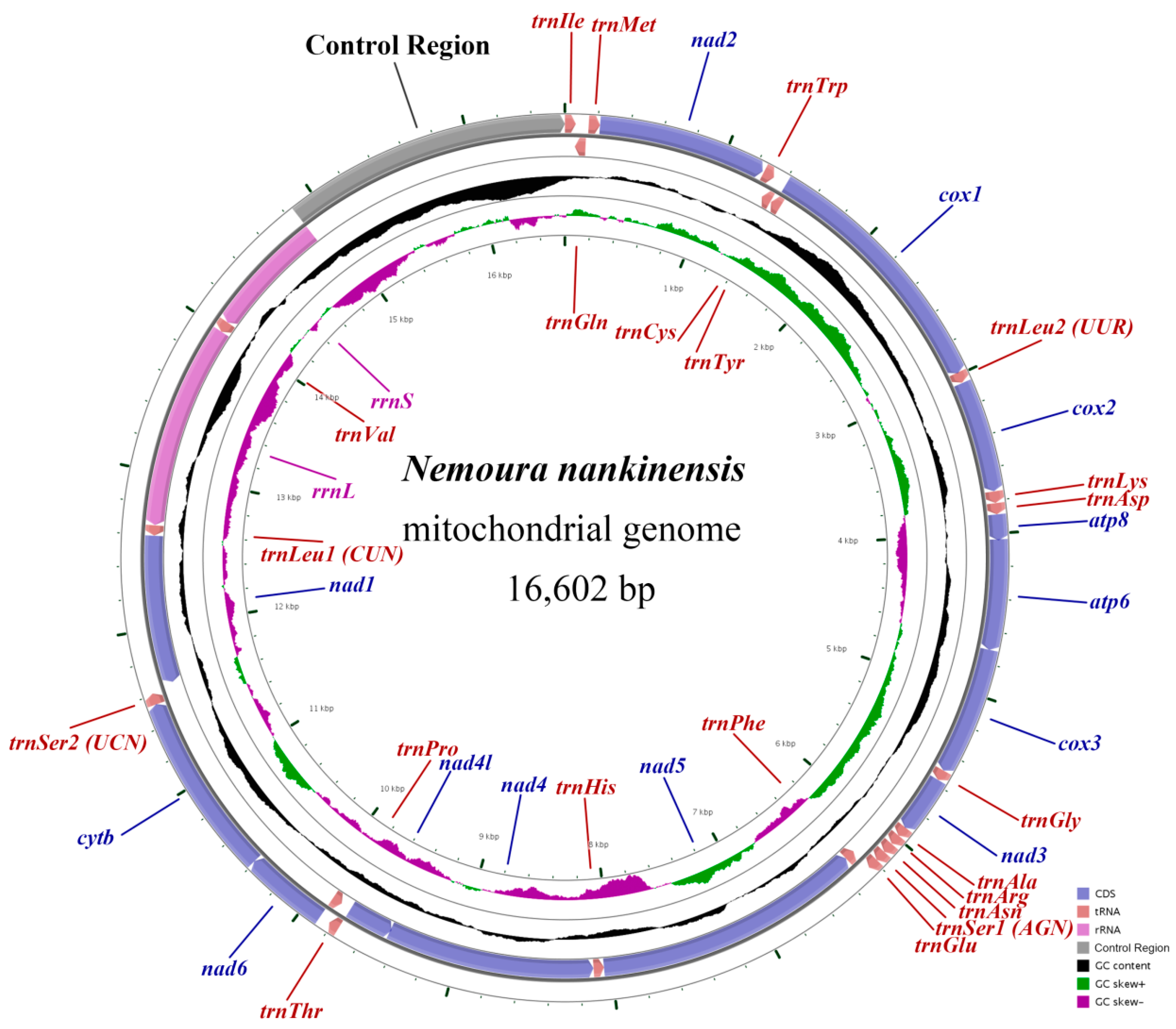 Ijms 18 00996 g001 550