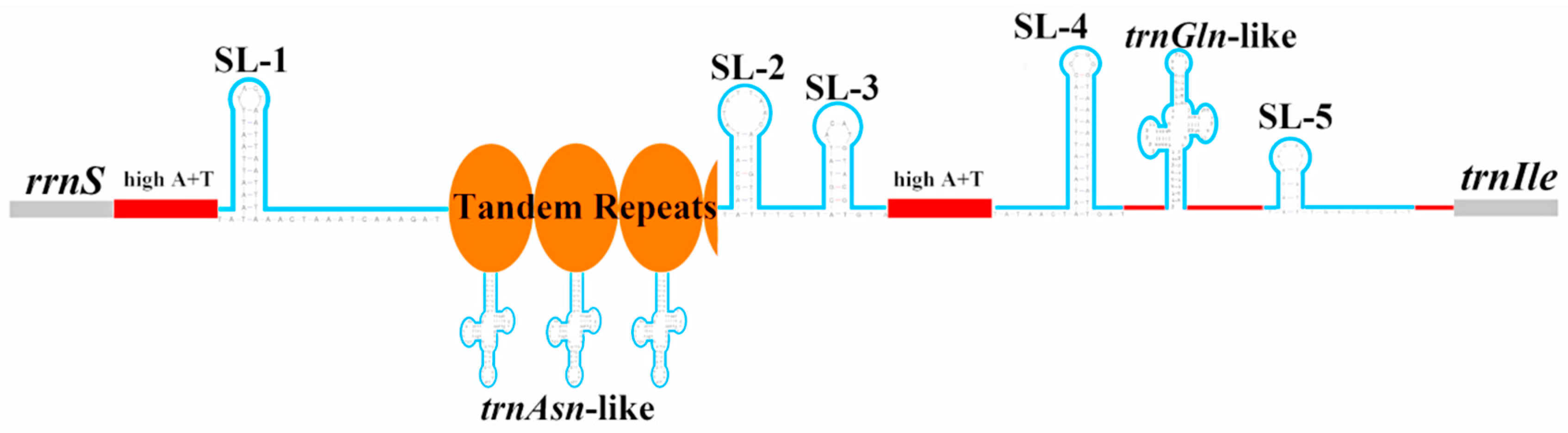 Ijms 18 00996 g004 550