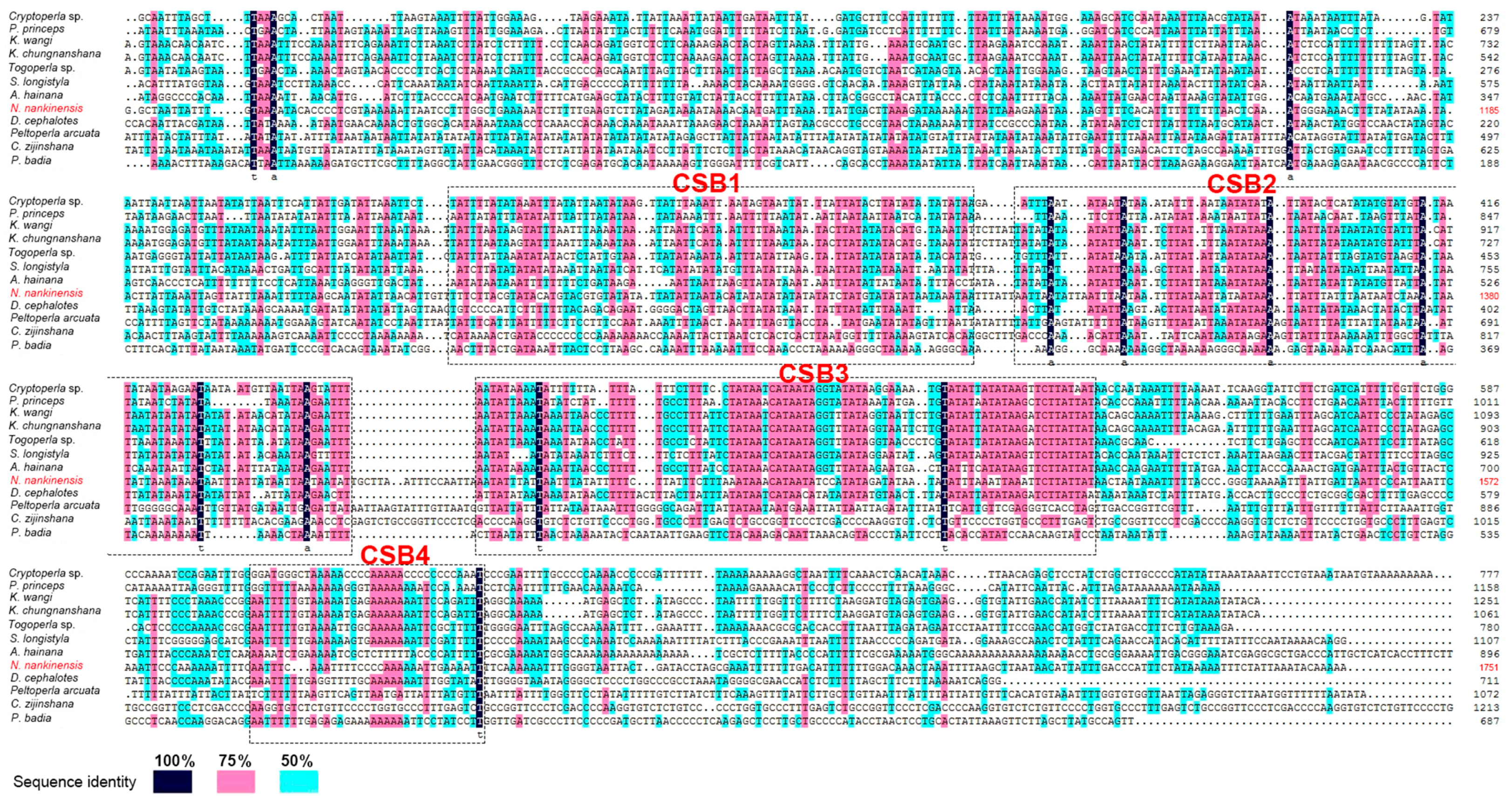 Ijms 18 00996 g005 550