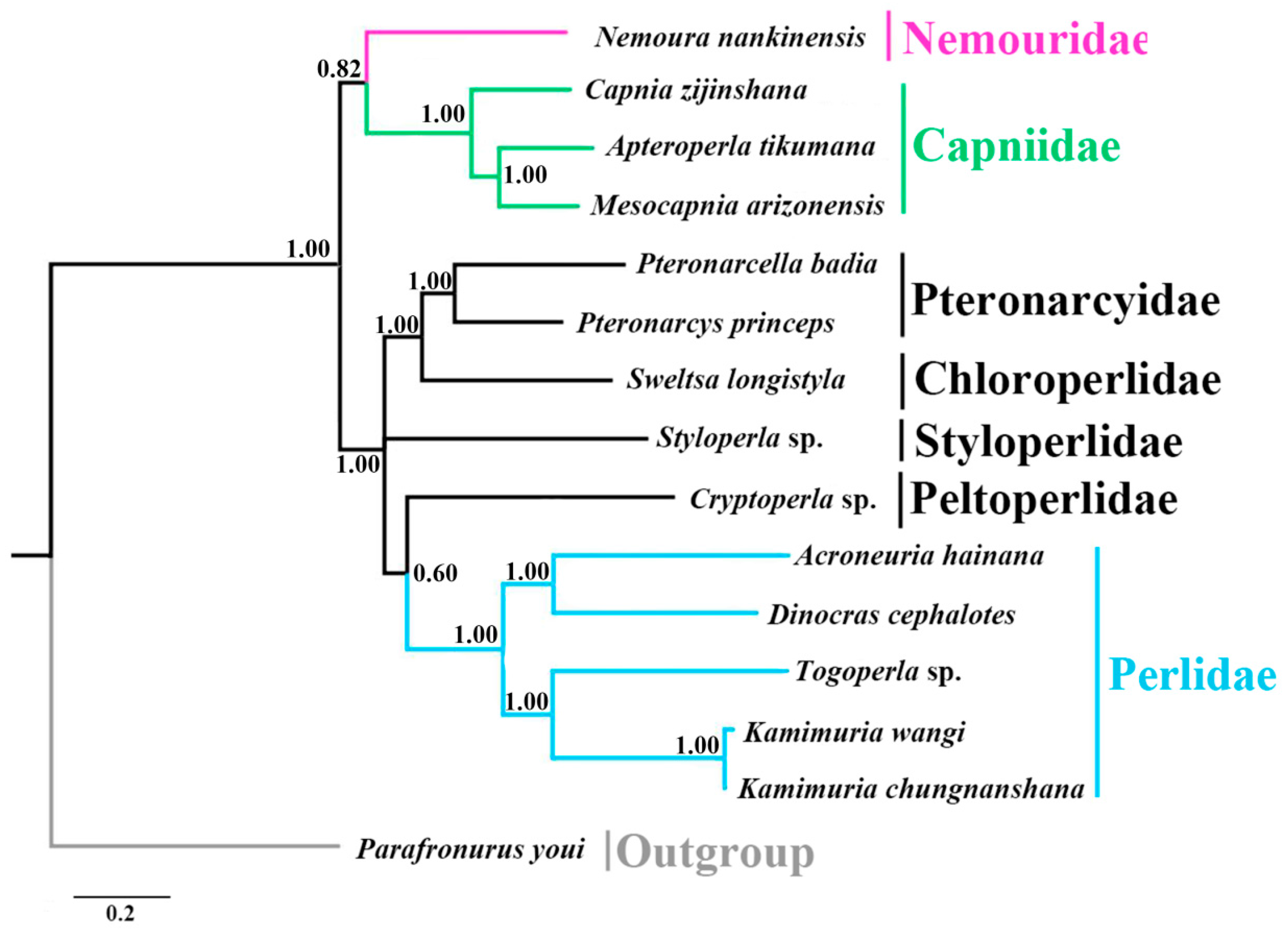 Ijms 18 00996 g006 550