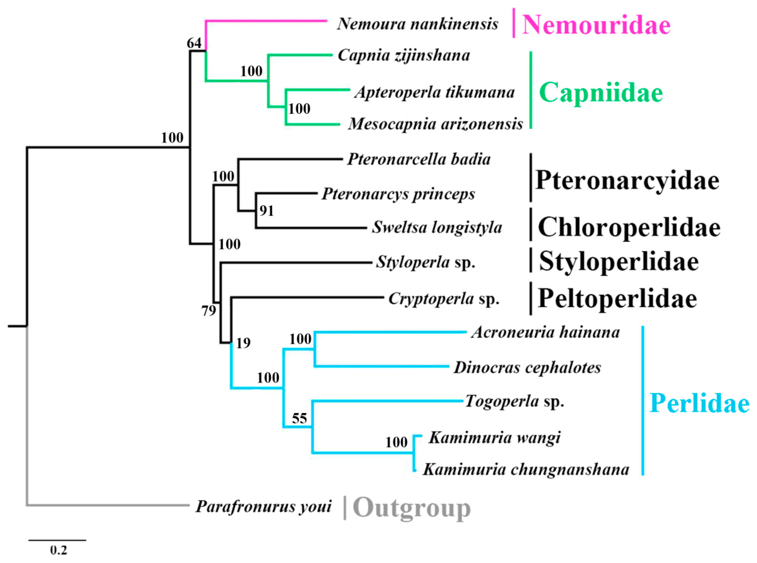 Ijms 18 00996 g007 550