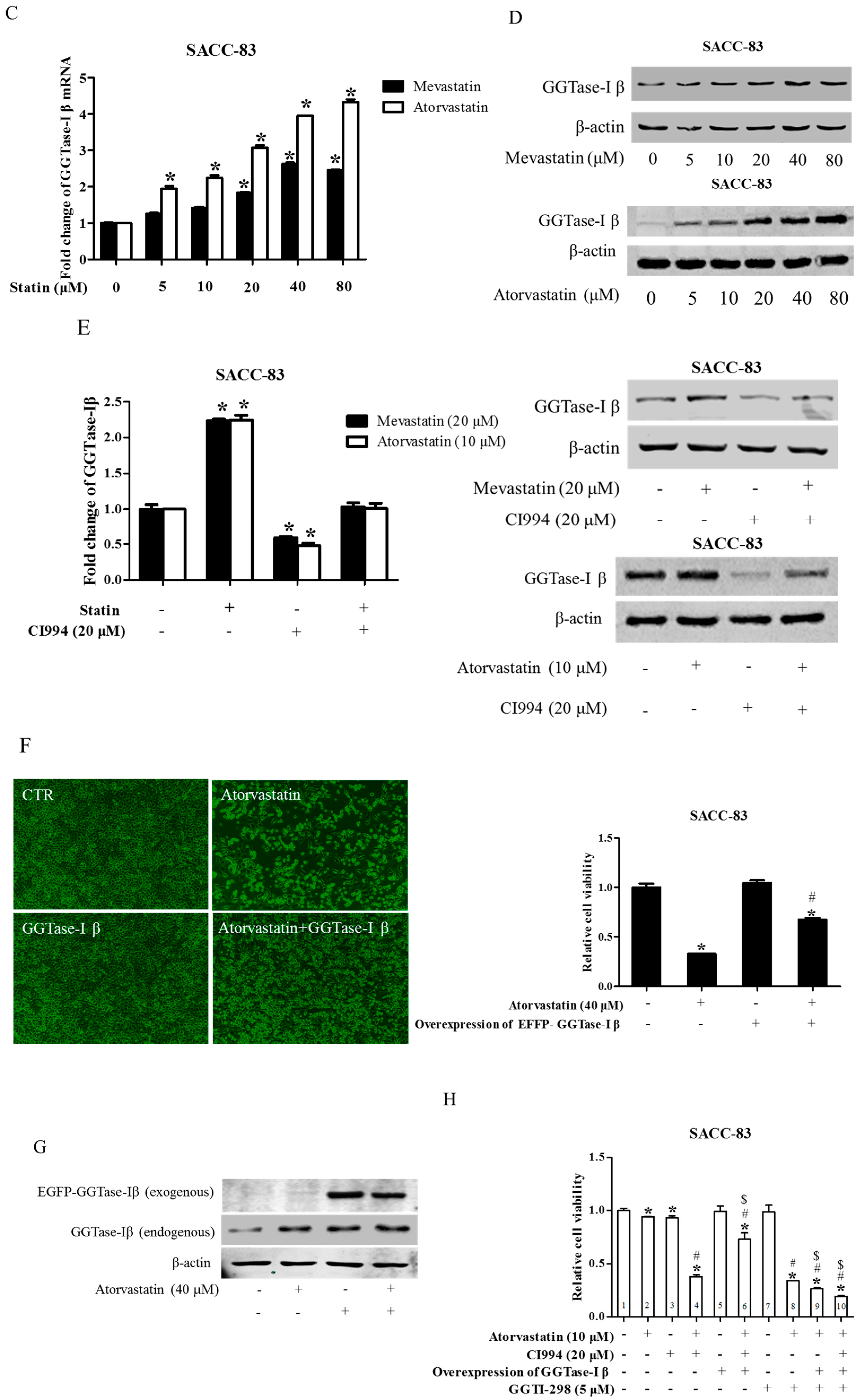 Ijms 18 01010 g005b 550