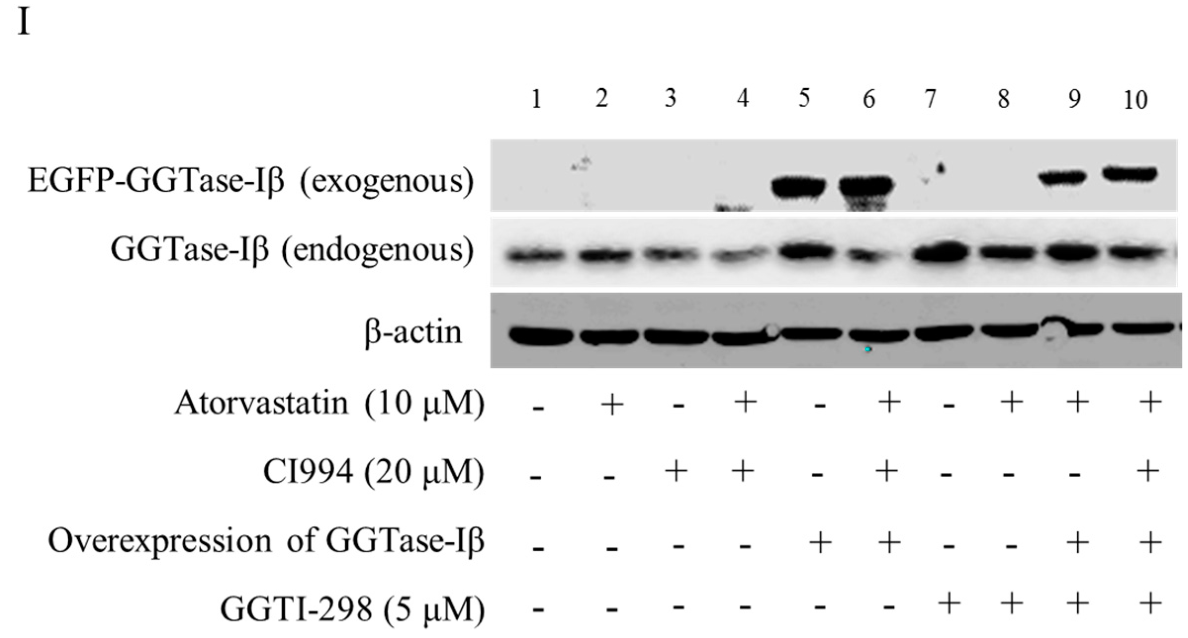 Ijms 18 01010 g005c 550