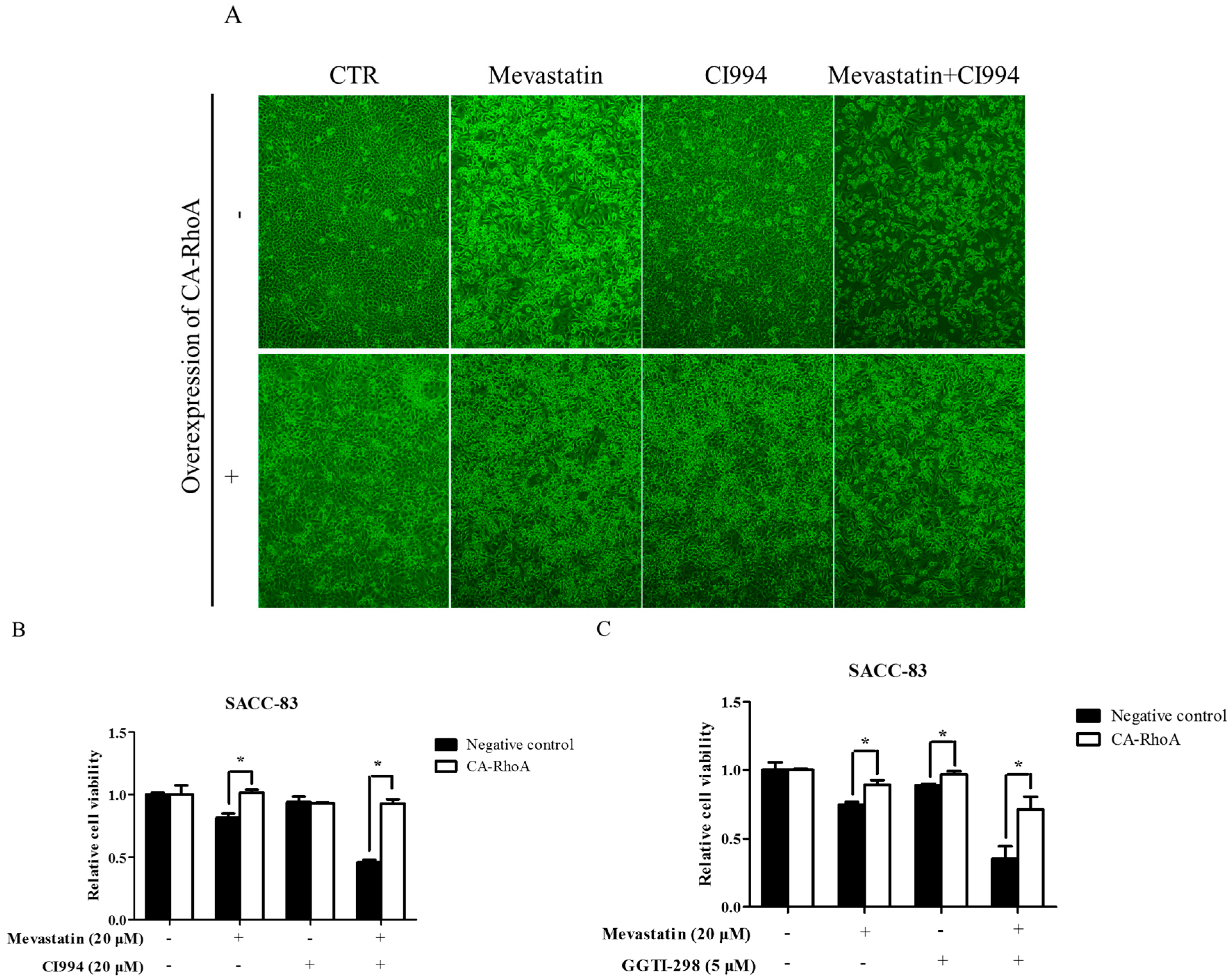 Ijms 18 01010 g006 550
