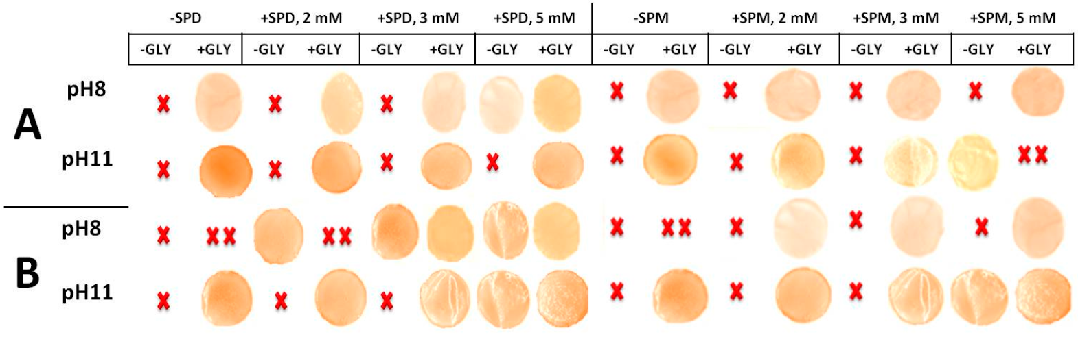 Ijms 18 01026 g005 550