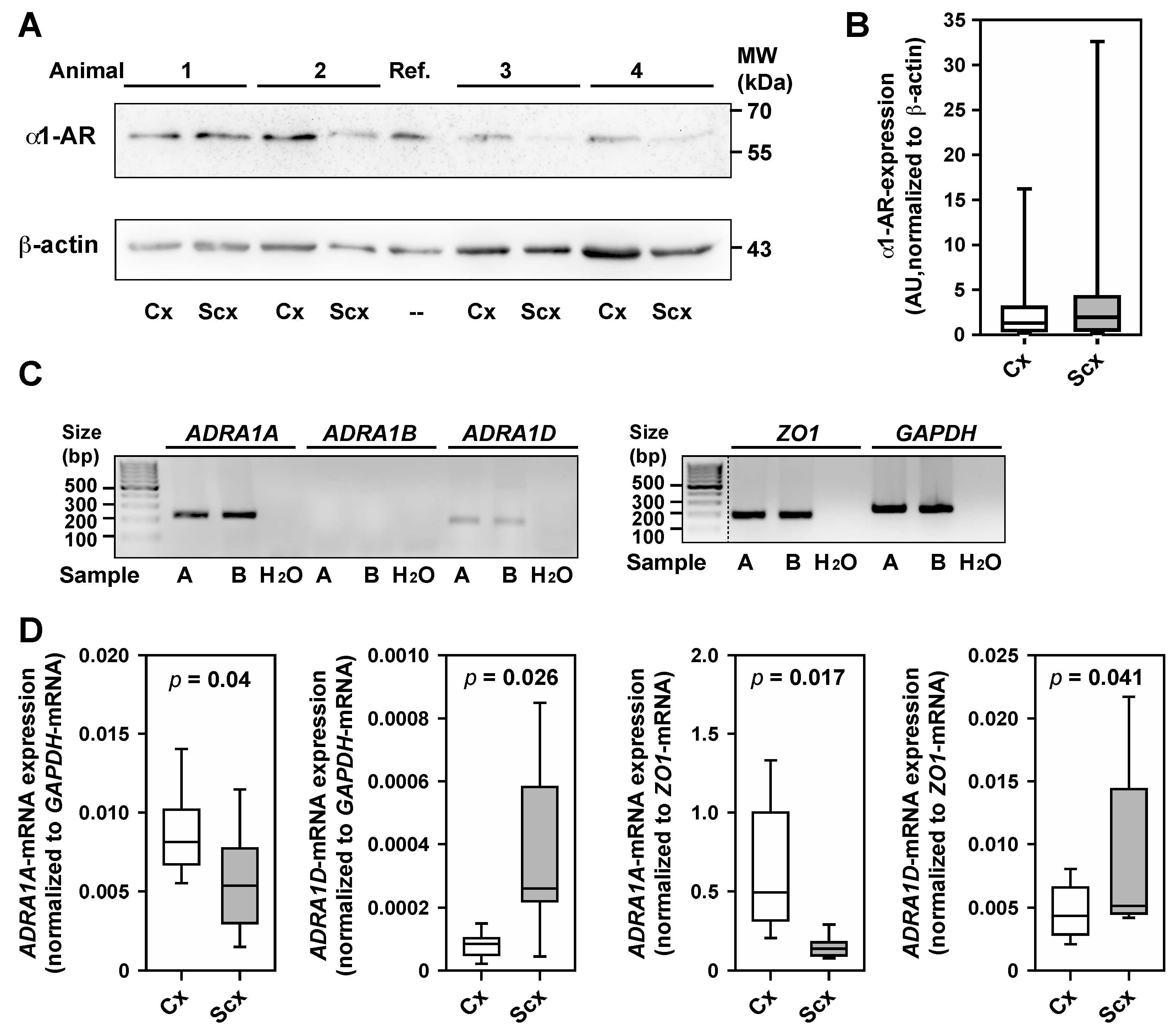 Ijms 18 01031 g005 550
