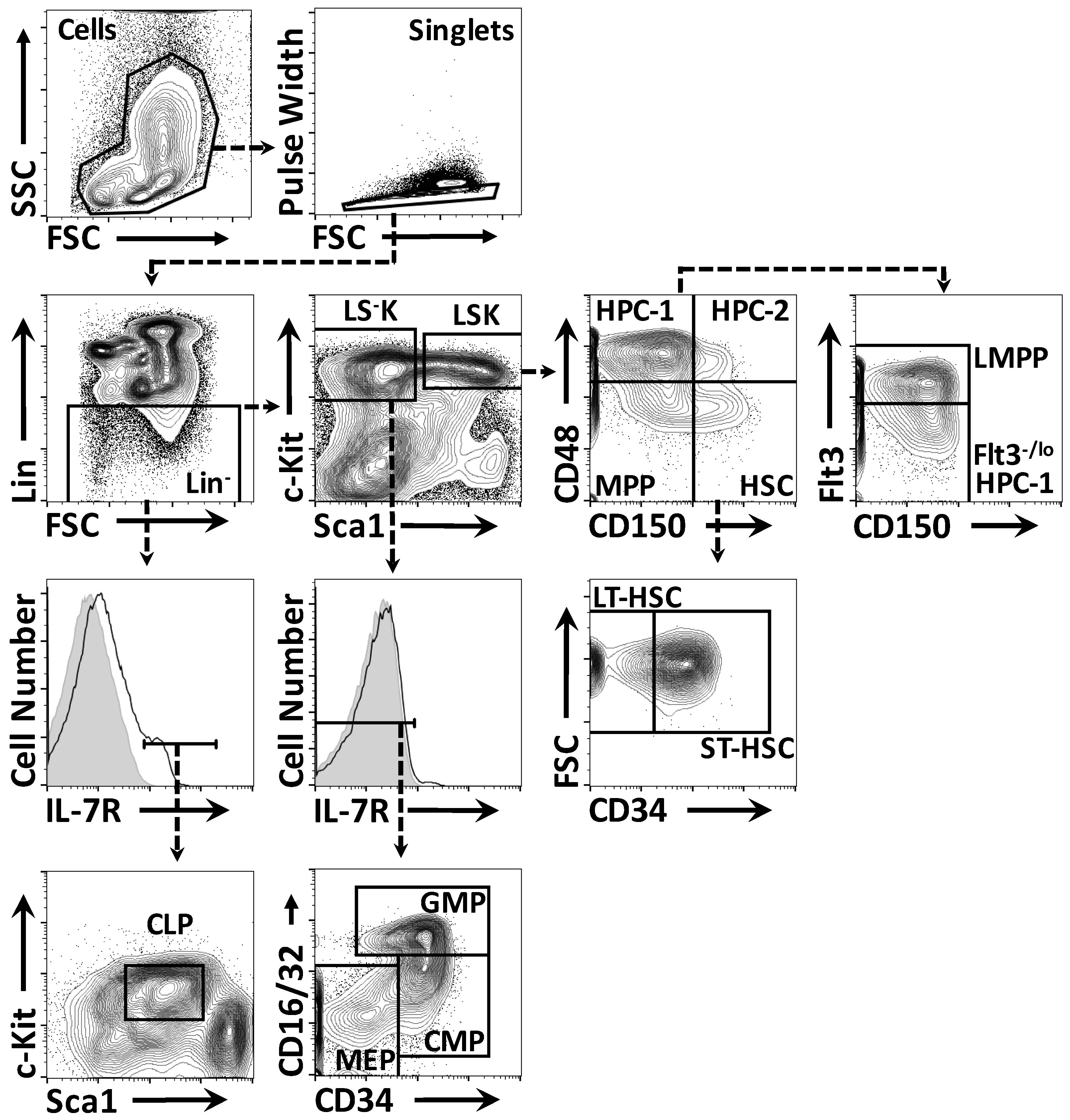 Ijms 18 01037 g001