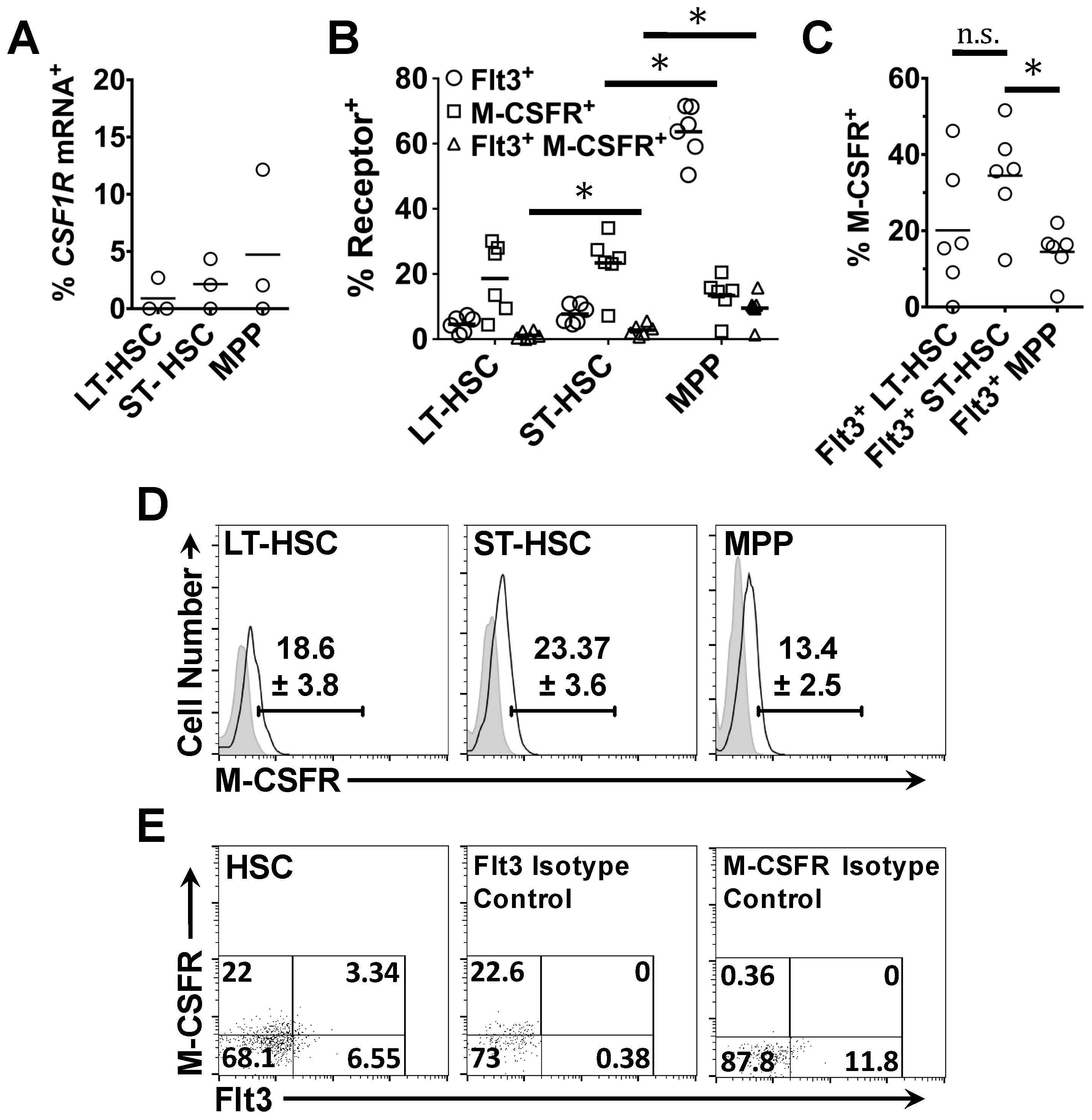 Ijms 18 01037 g006