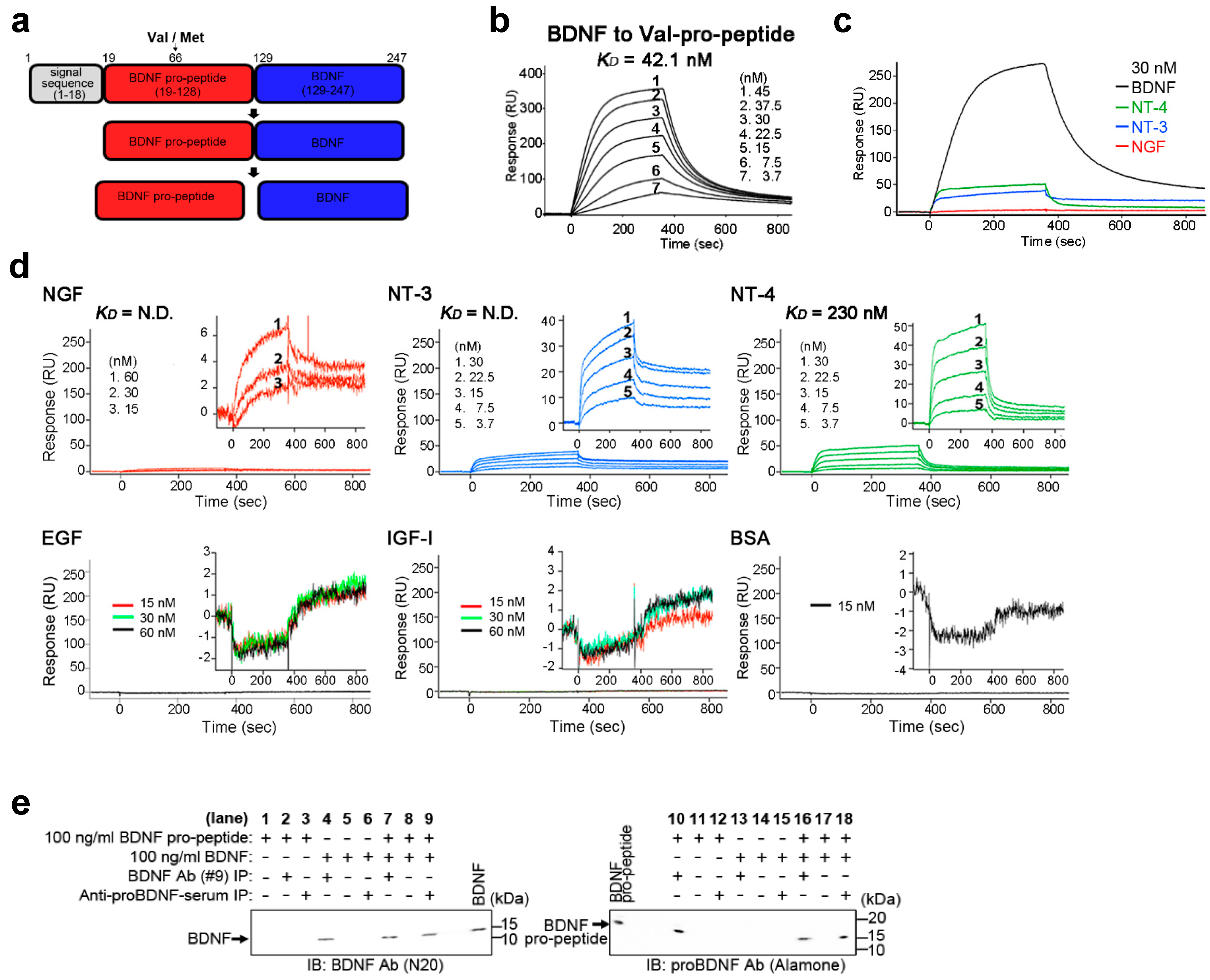 Ijms 18 01042 g001 550