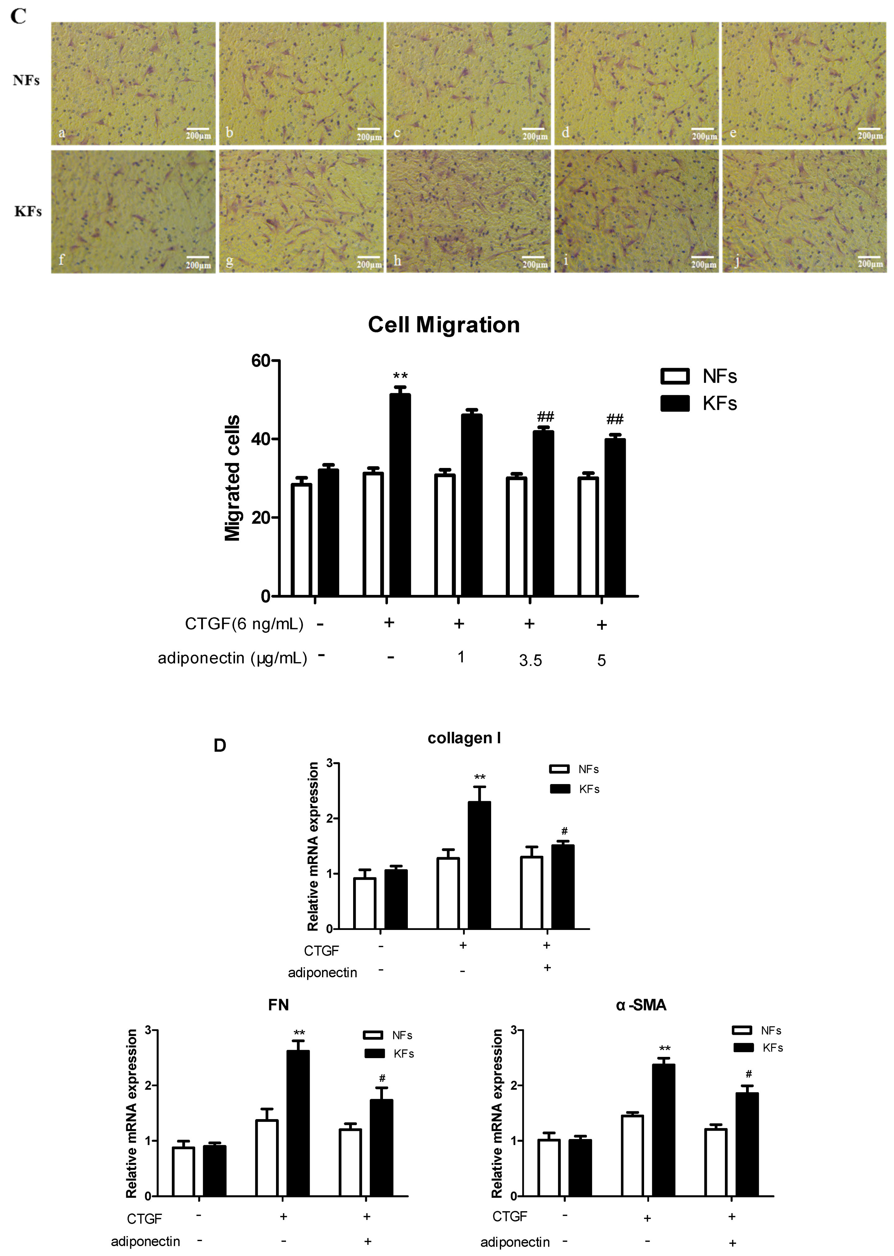 Ijms 18 01044 g003b 550