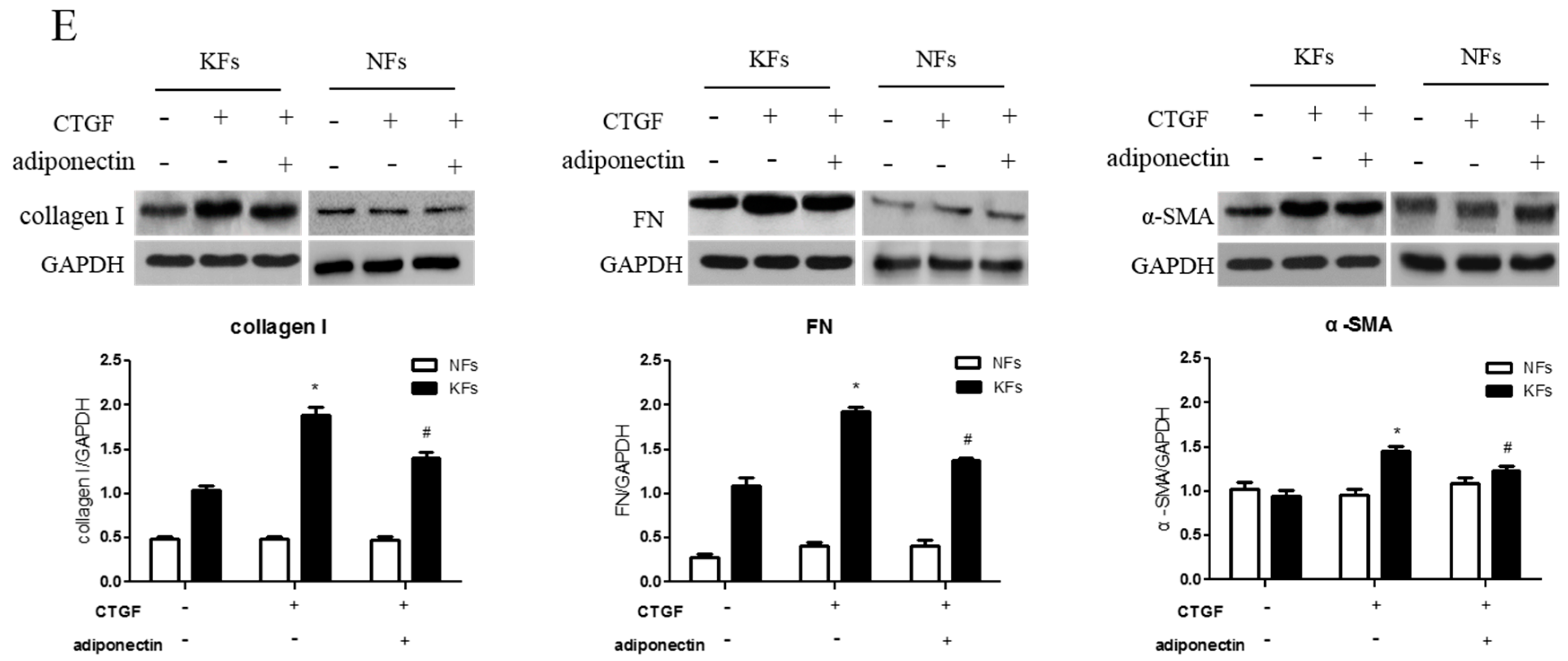 Ijms 18 01044 g003c 550