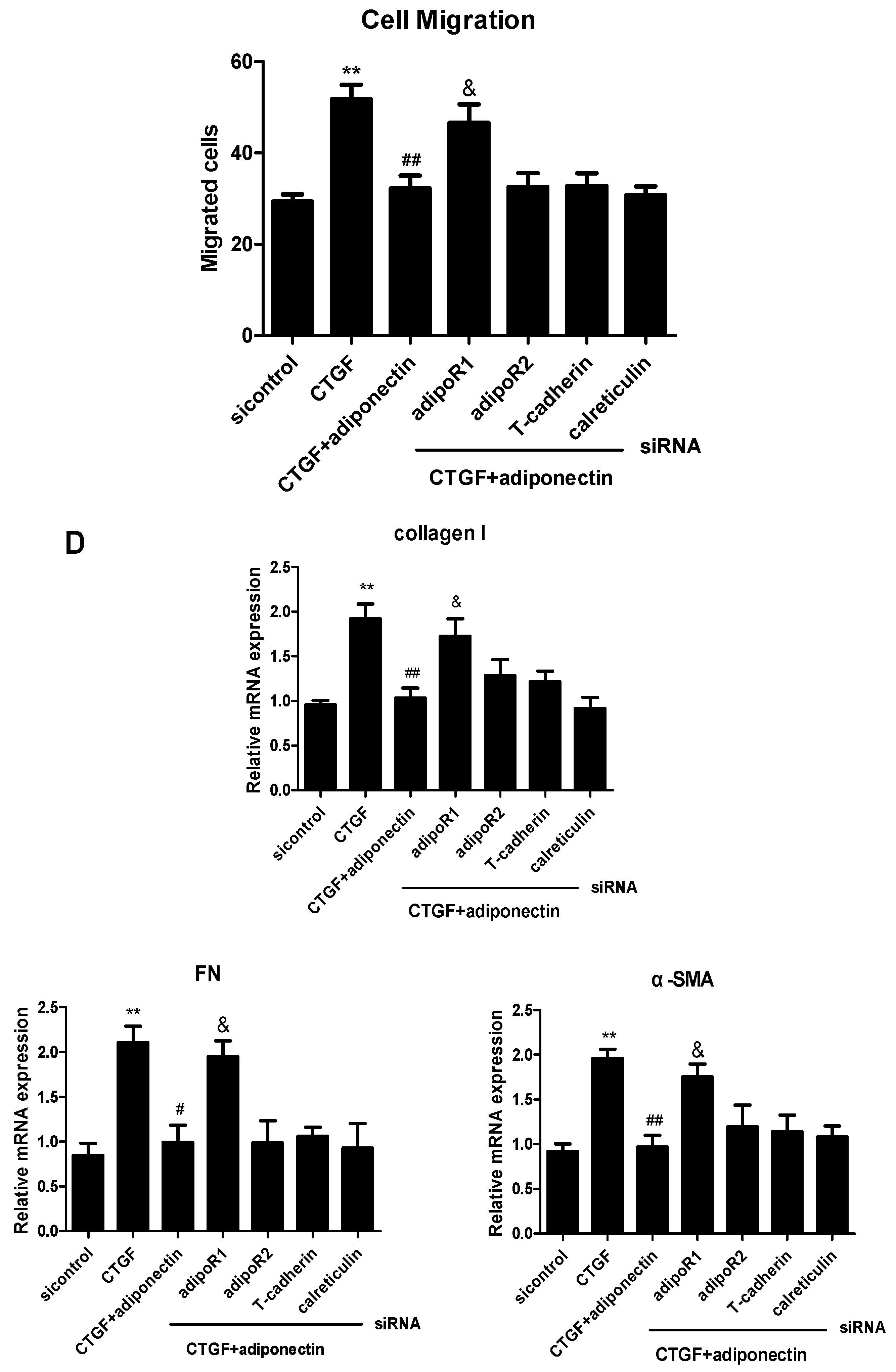 Ijms 18 01044 g004b 550