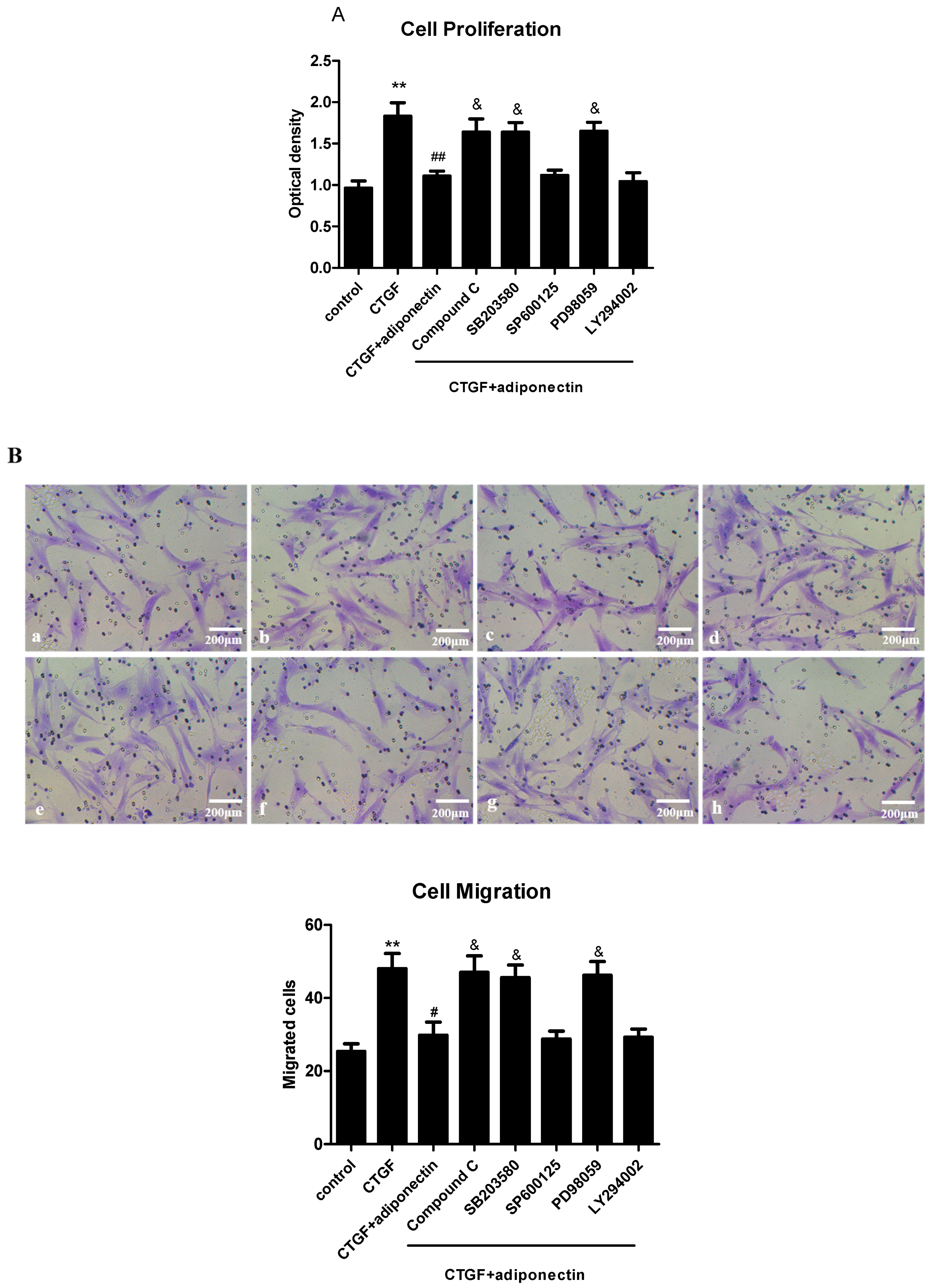 Ijms 18 01044 g006a 550