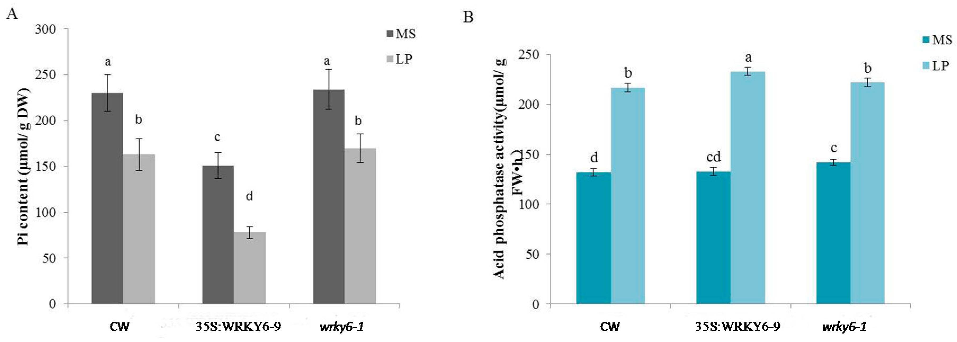 Ijms 18 01046 g001 550