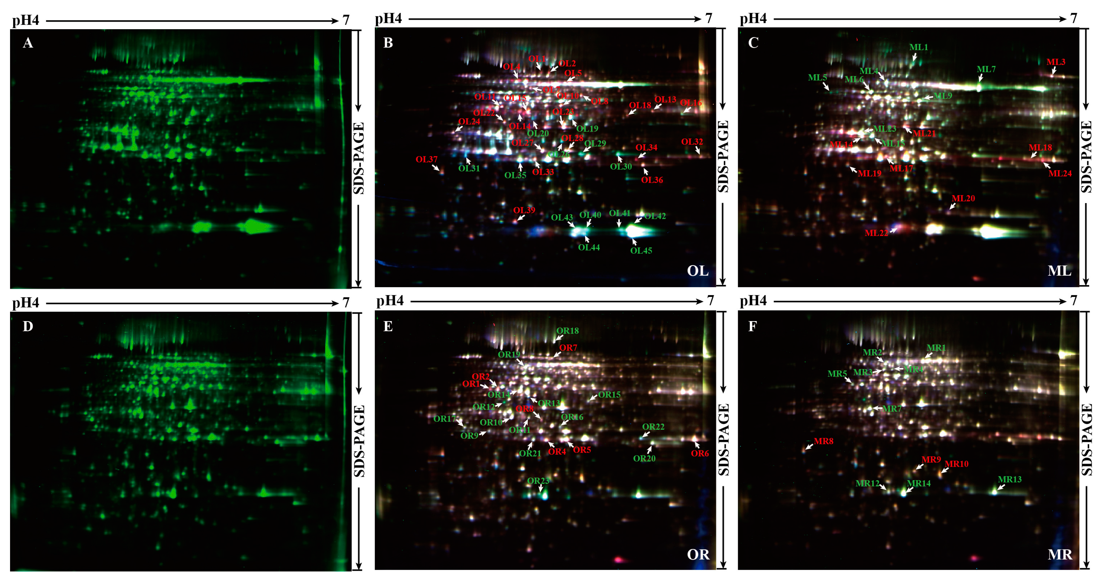 Ijms 18 01046 g002 550