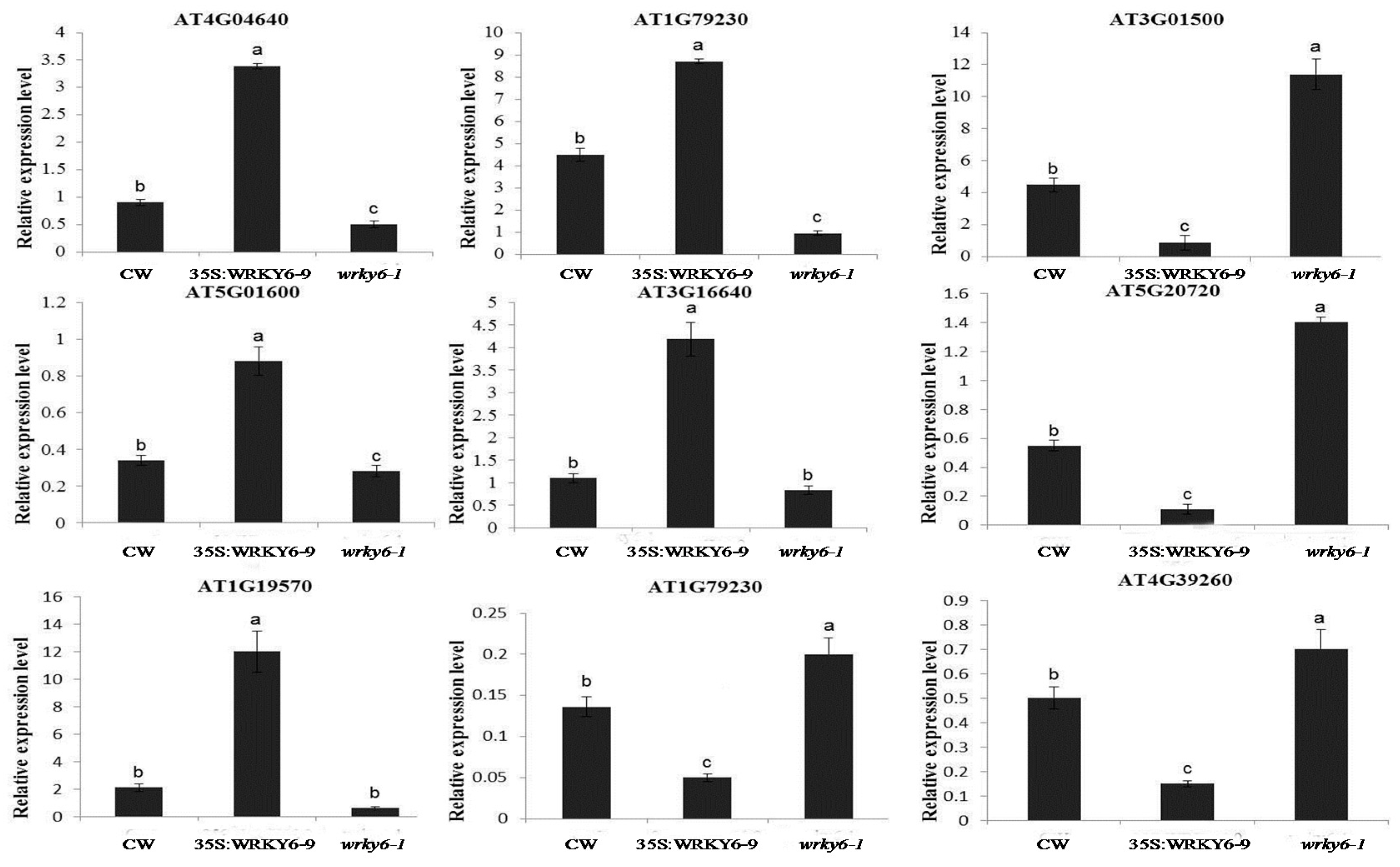 Ijms 18 01046 g008 550