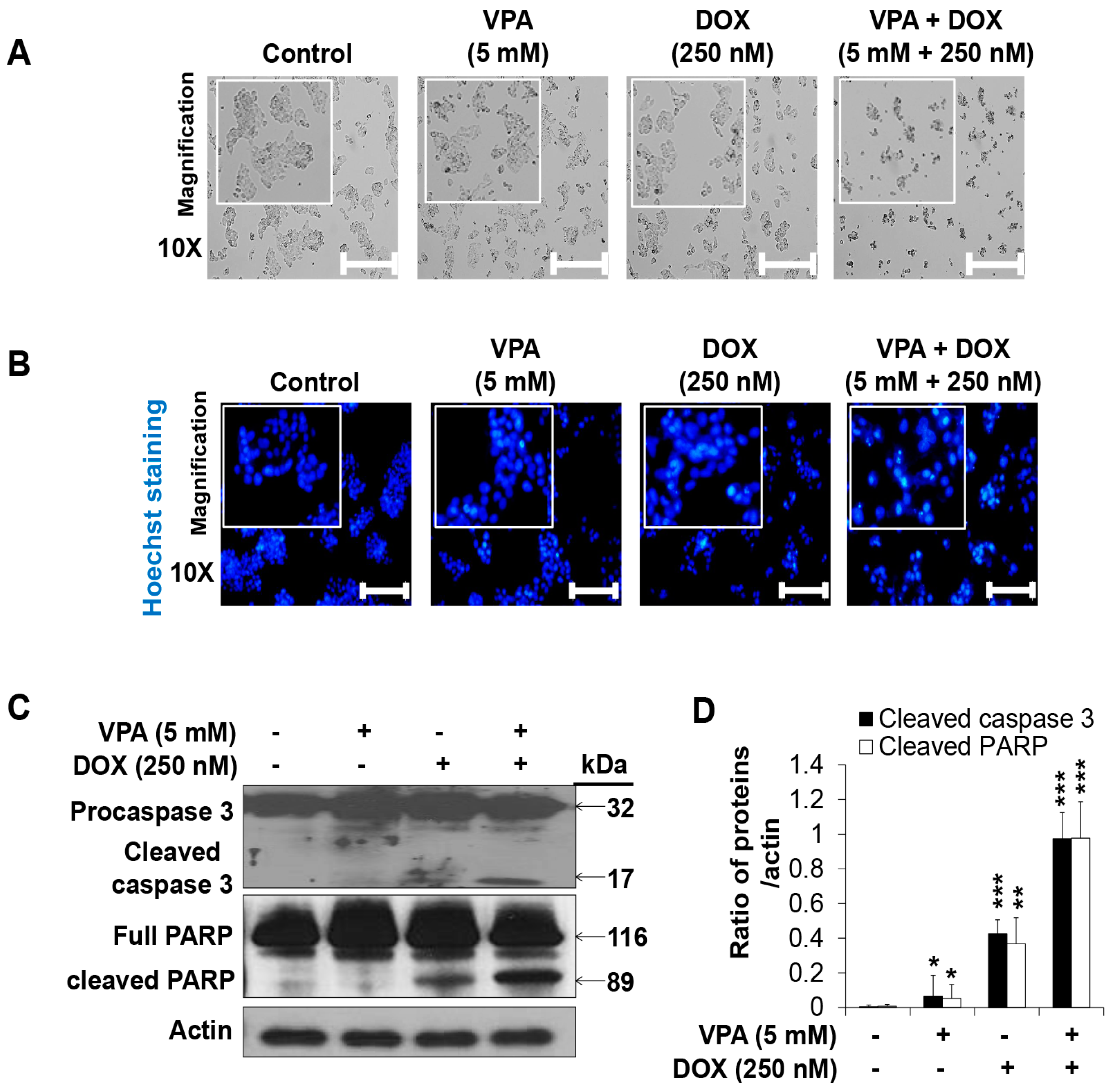 Ijms 18 01048 g002 550