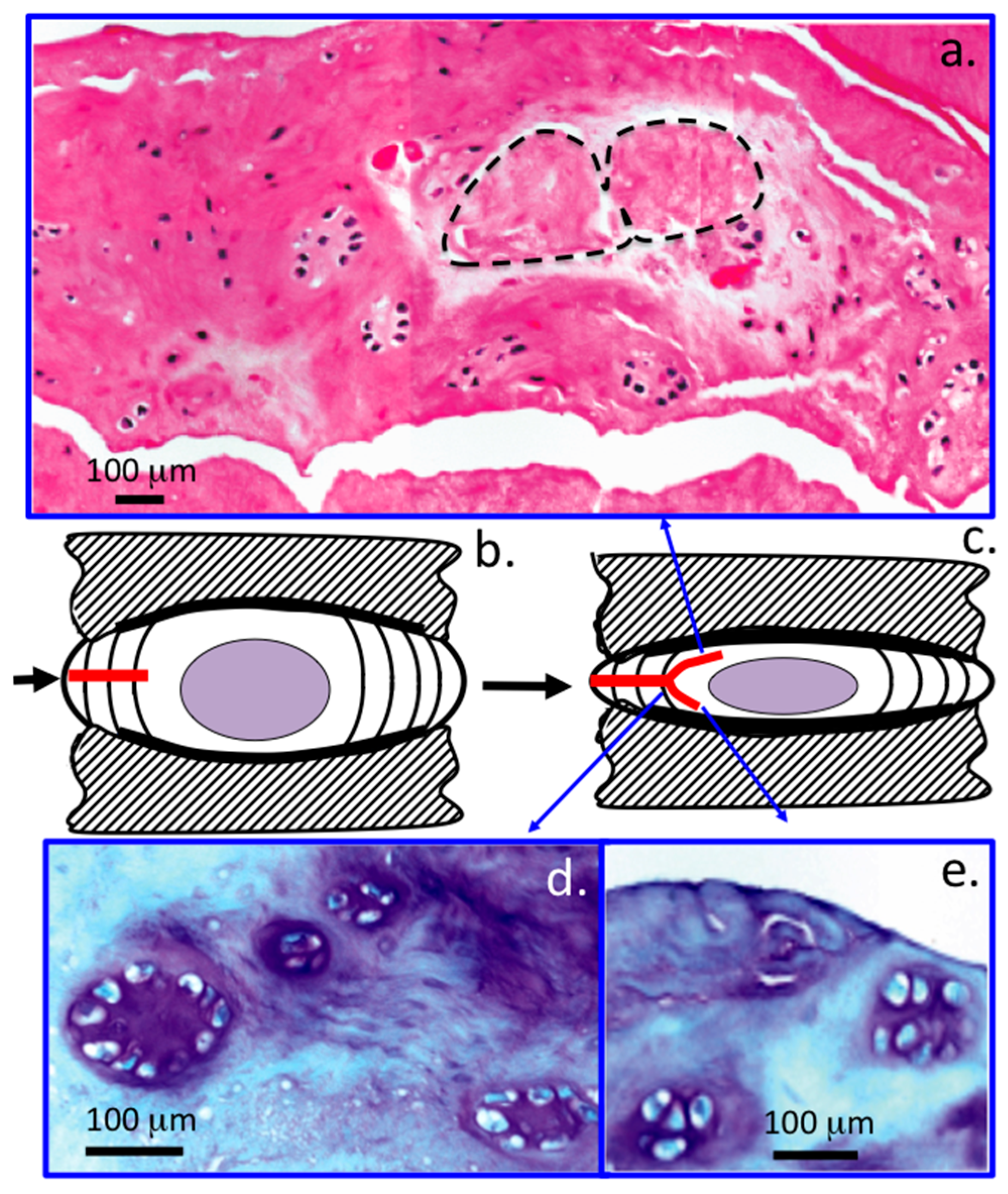 Ijms 18 01049 g006 550