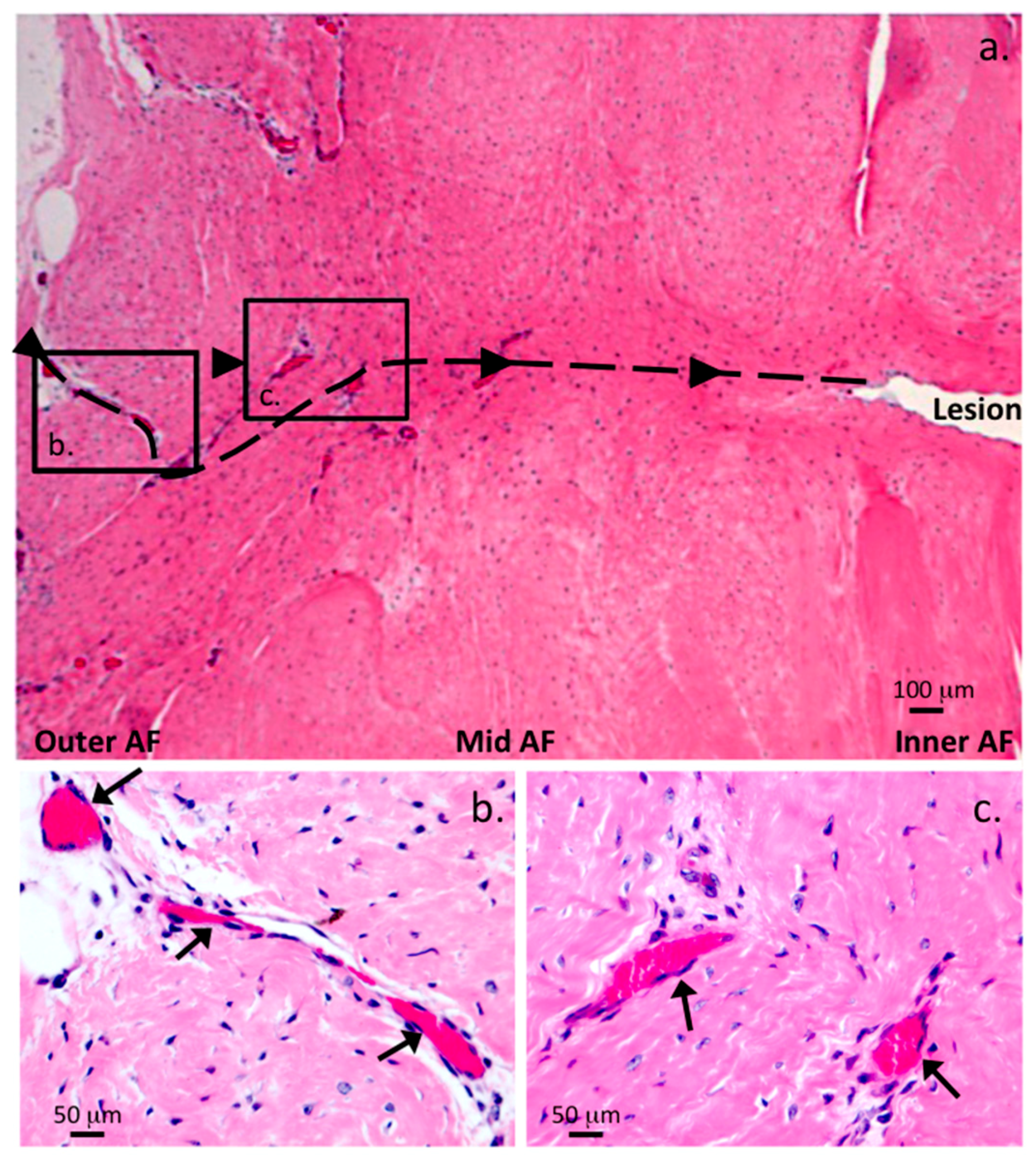 Ijms 18 01049 g009 550