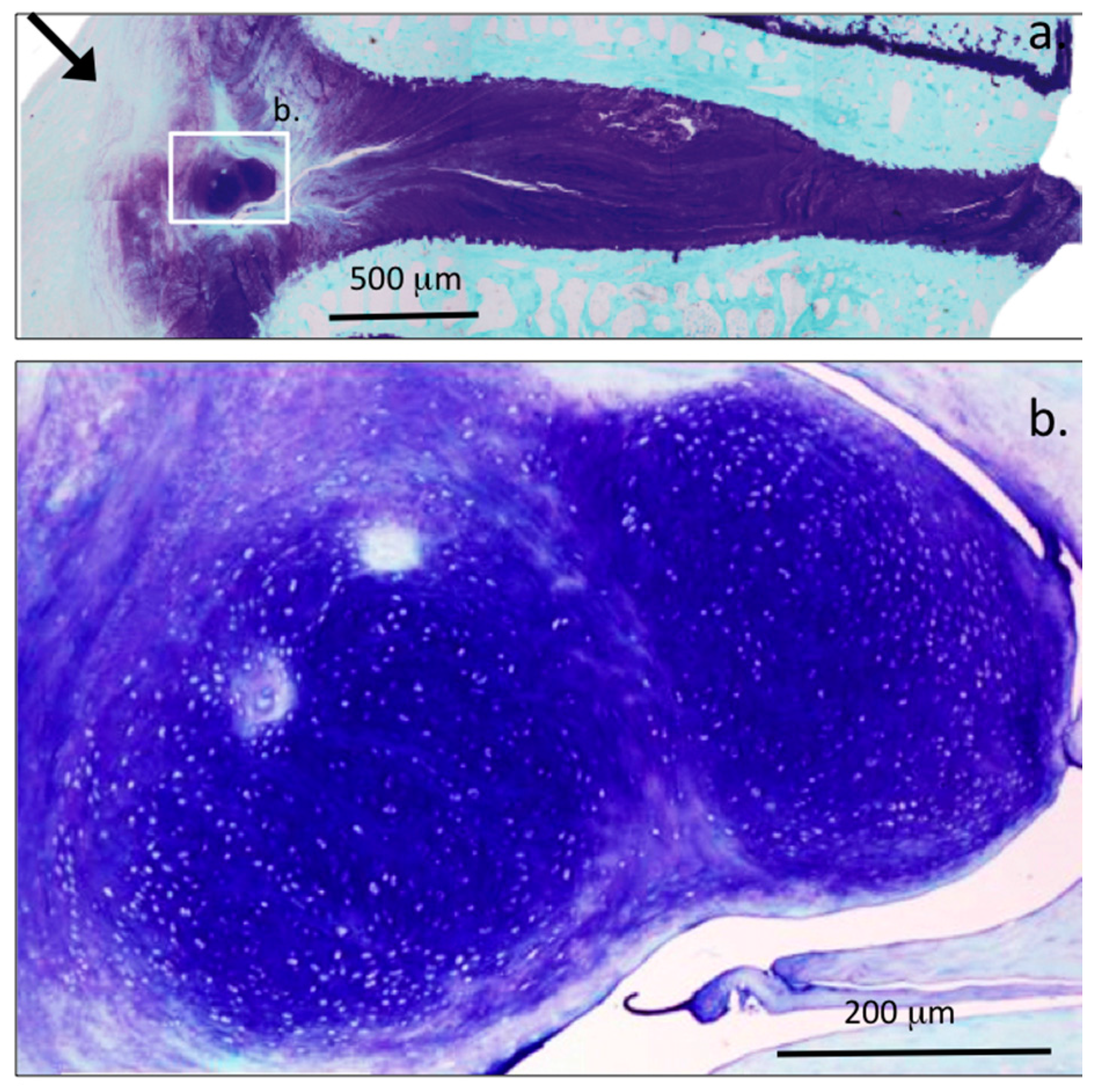 Ijms 18 01049 g011 550