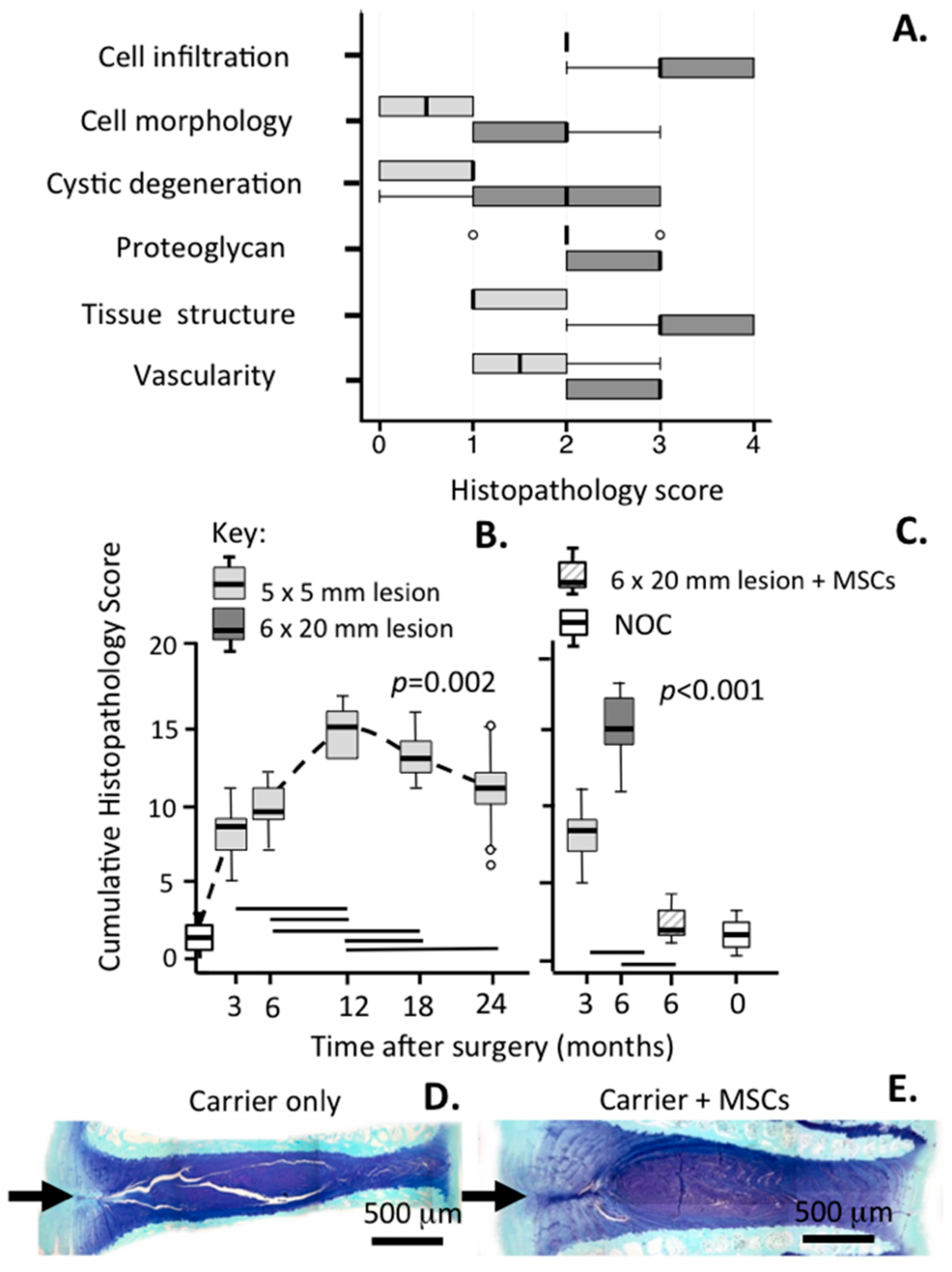 Ijms 18 01049 g012 550