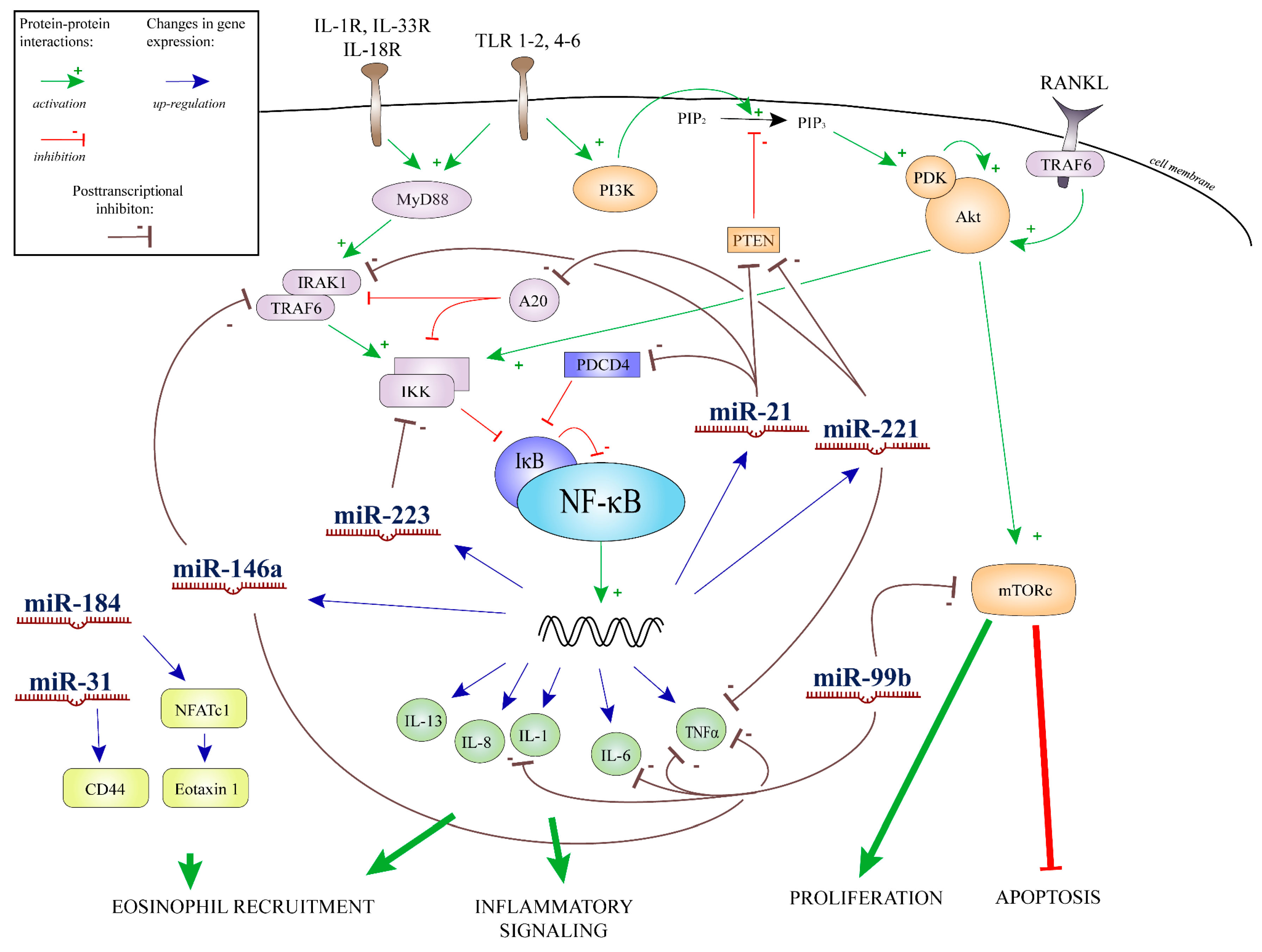 Ijms 18 01050 g004 550