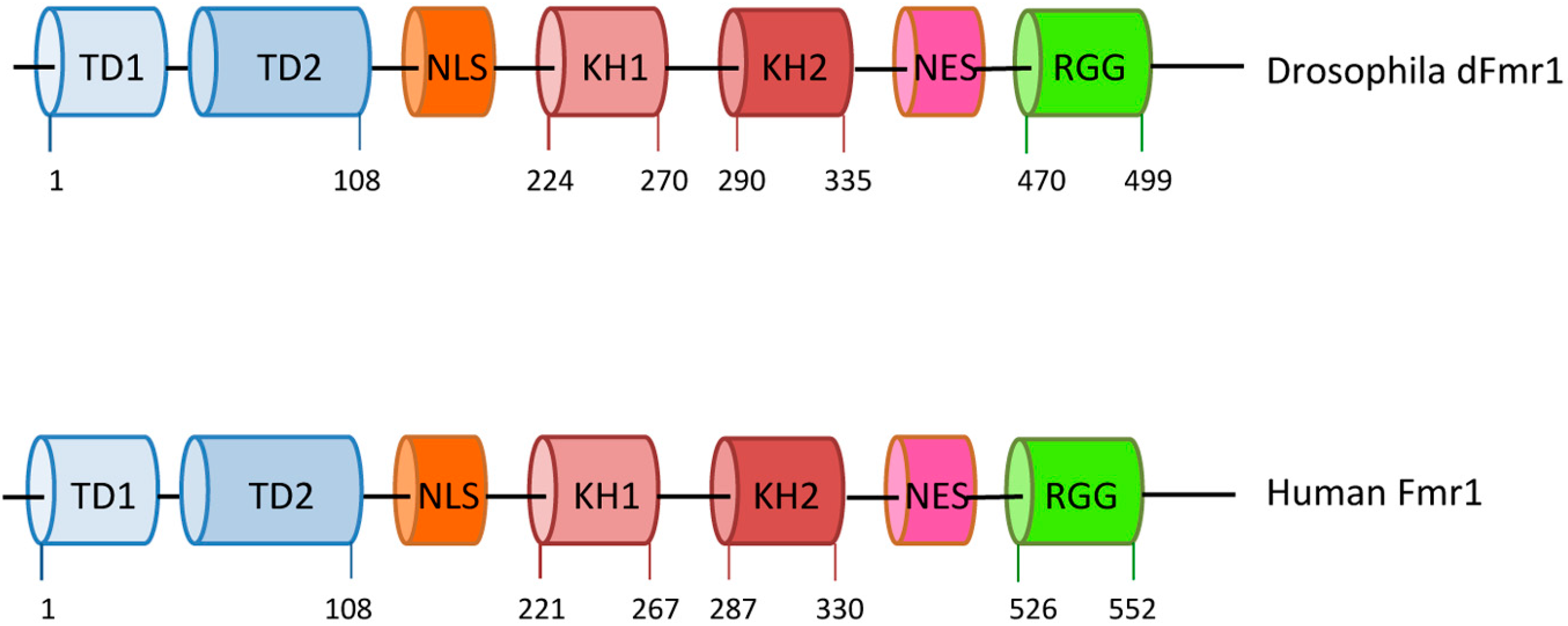 Ijms 18 01066 g001 550