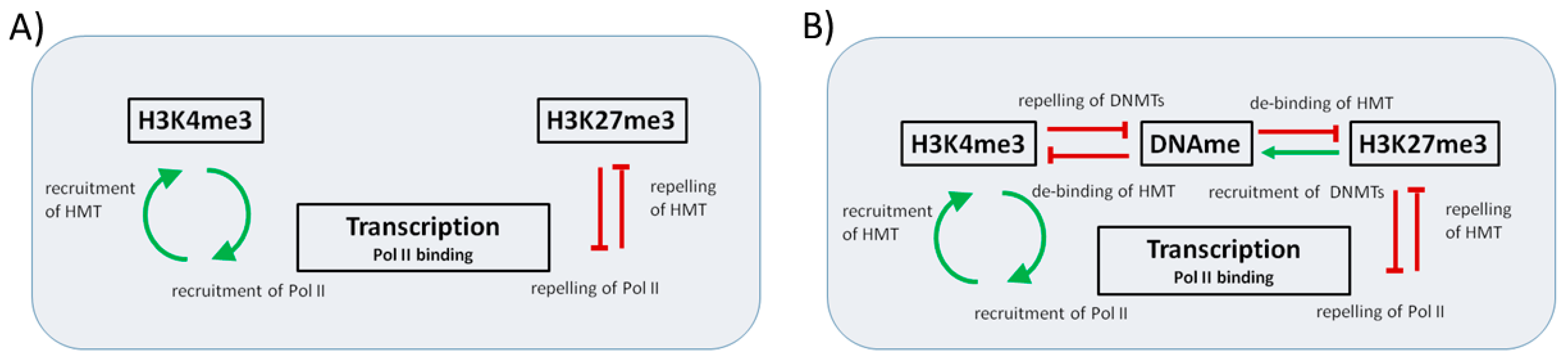 Ijms 18 01069 g001 550