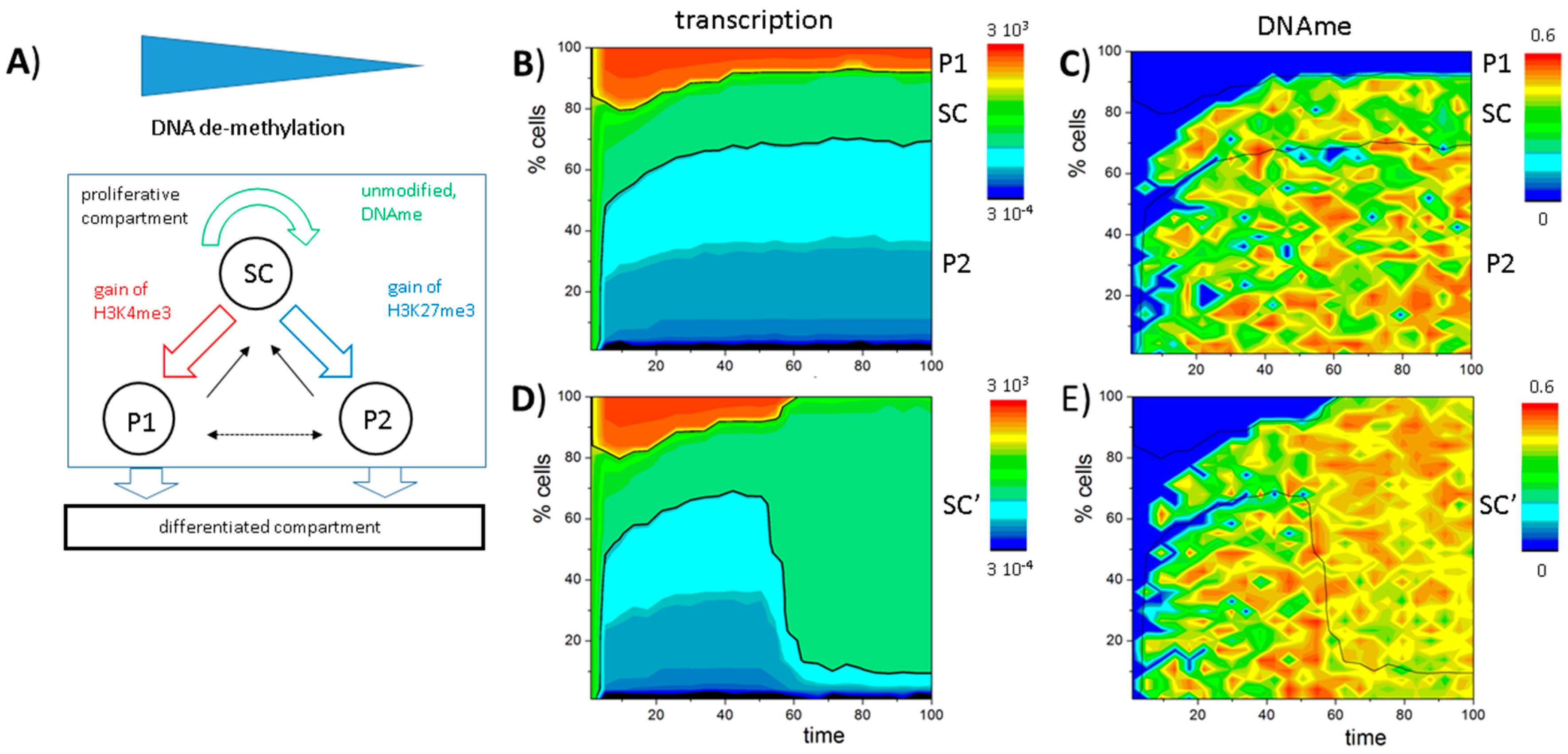 Ijms 18 01069 g006 550