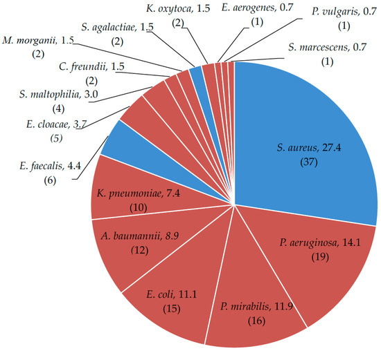 Ijms Free Full Text Biofilm Is A Major Virulence Determinant In Bacterial Colonization Of Chronic Skin Ulcers Independently From The Multidrug Resistant Phenotype Html Ijms Free Full Text Biofilm Is A Major Virulence Determinant In Bacterial Colonization Of Chronic Skin Ulcers Independently From The Multidrug Resistant Phenotype Html