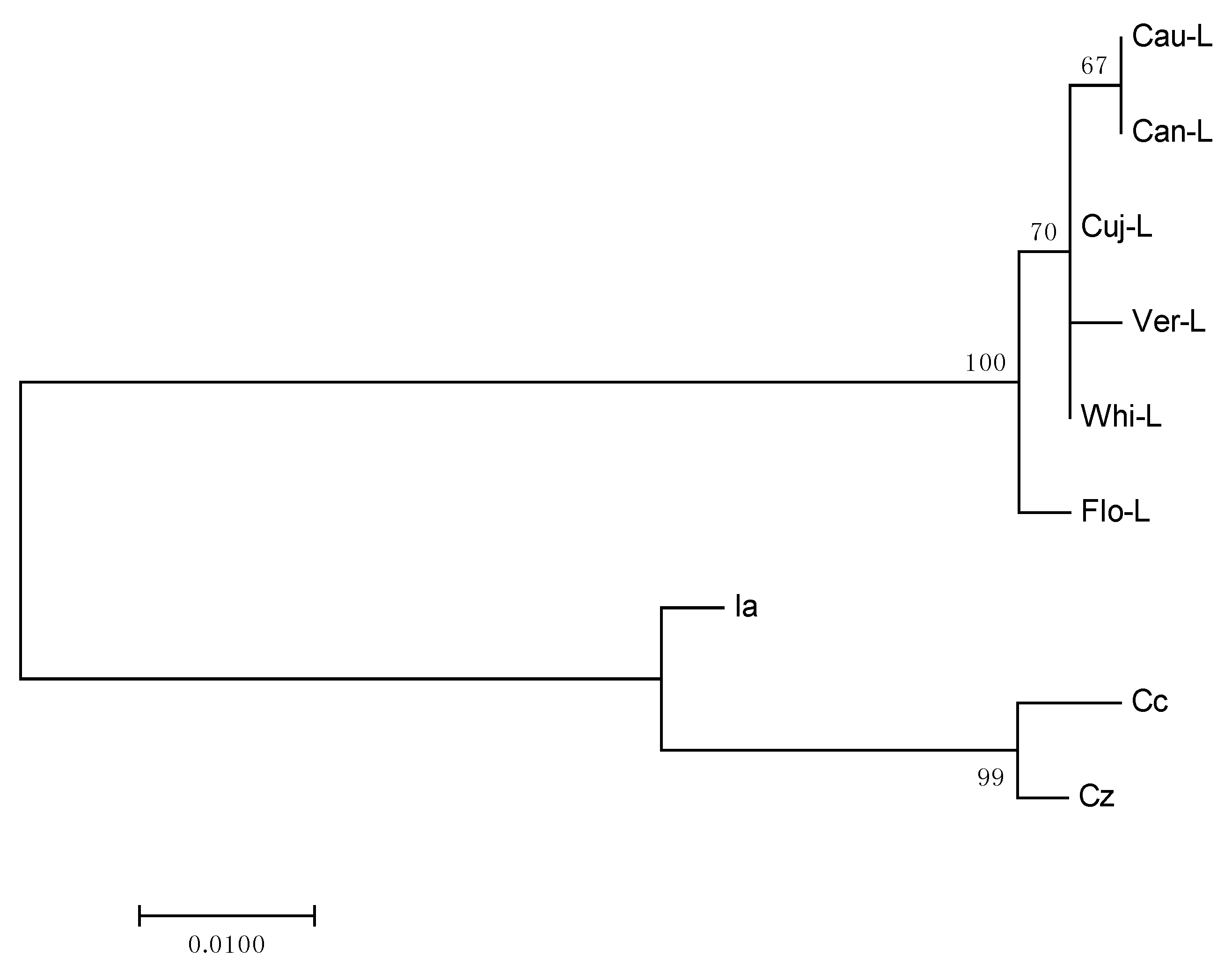Ijms 18 01081 g003