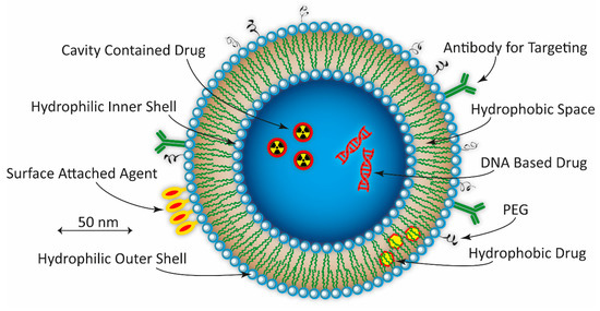 Nanoparticles as Theranostic Vehicles in Experimental and