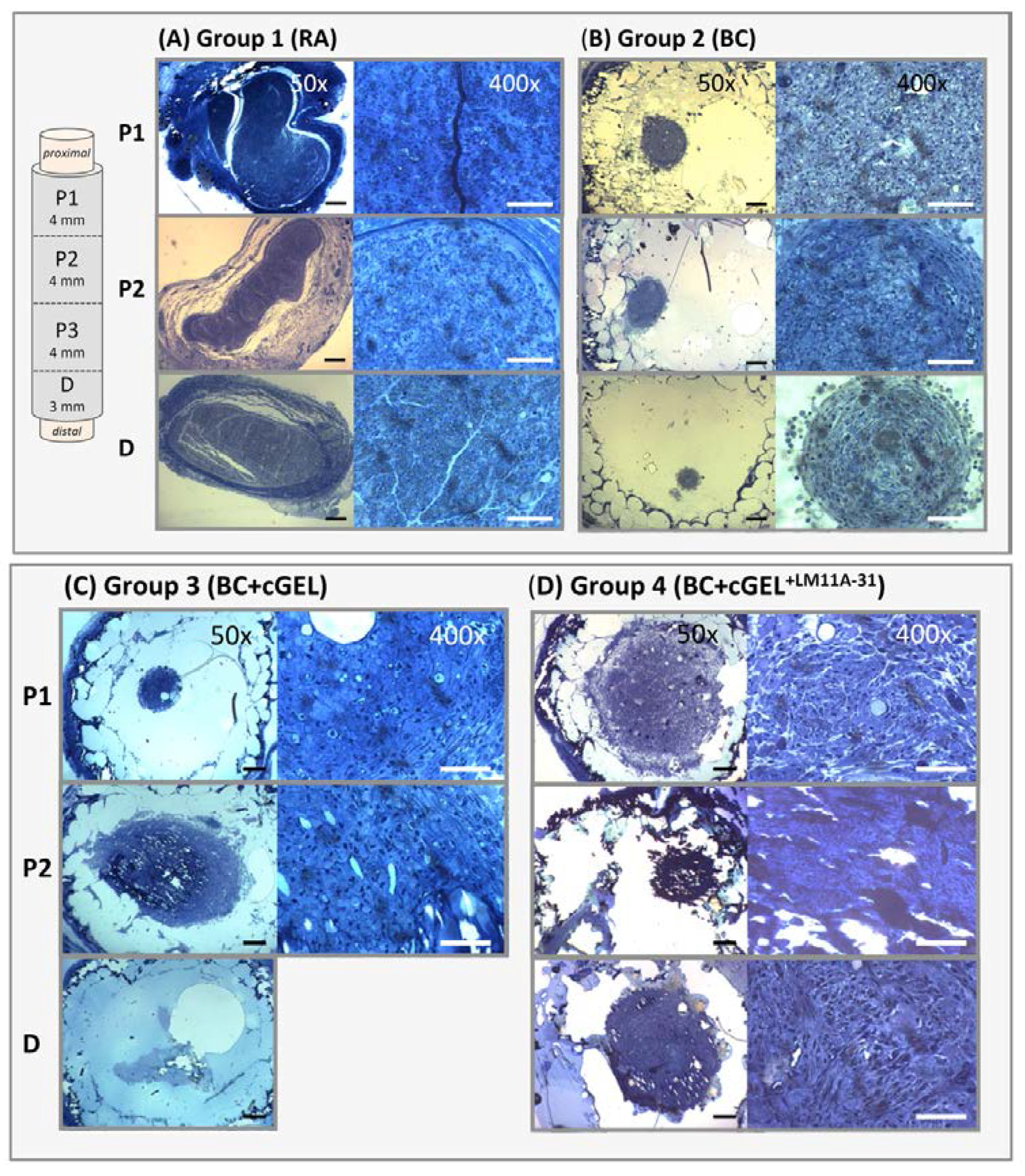 Ijms 18 01104 g009