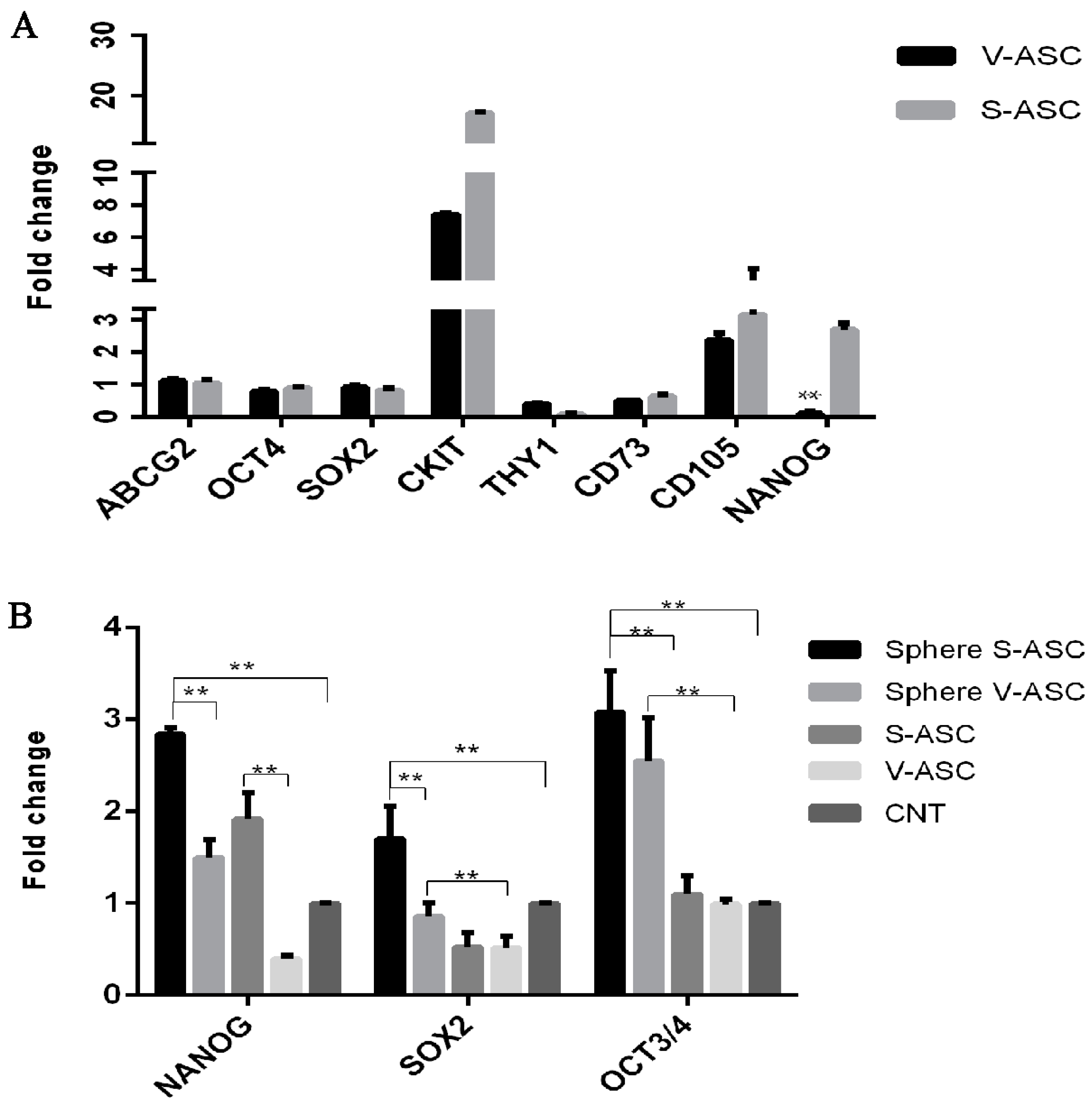 Ijms 18 01107 g004 550