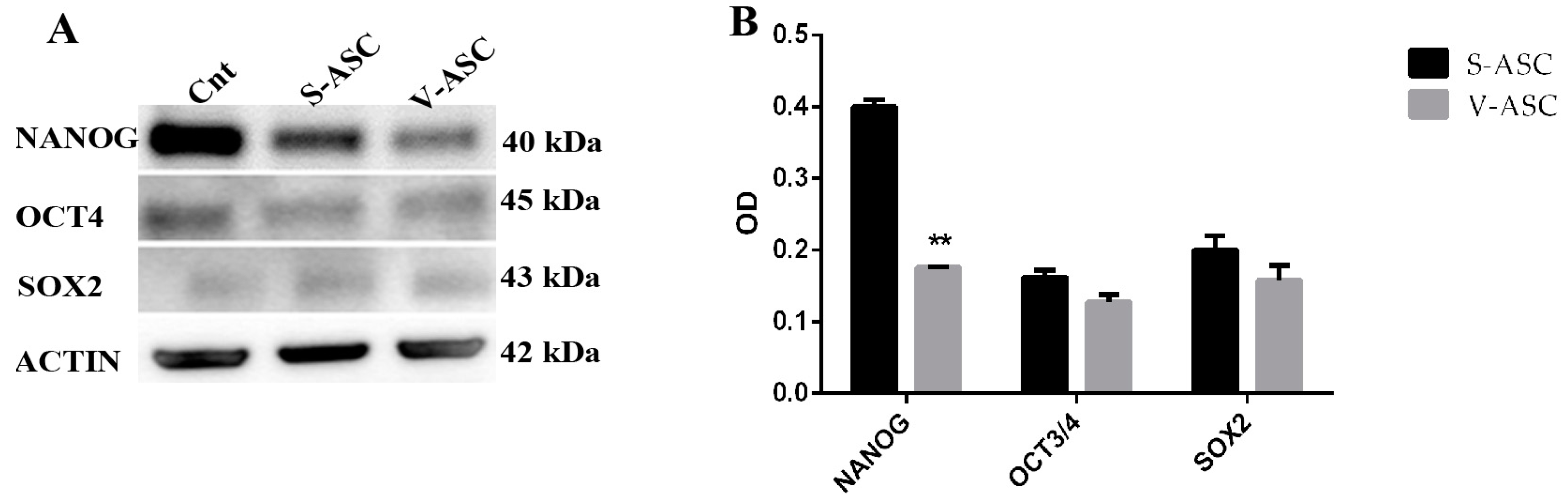 Ijms 18 01107 g005 550