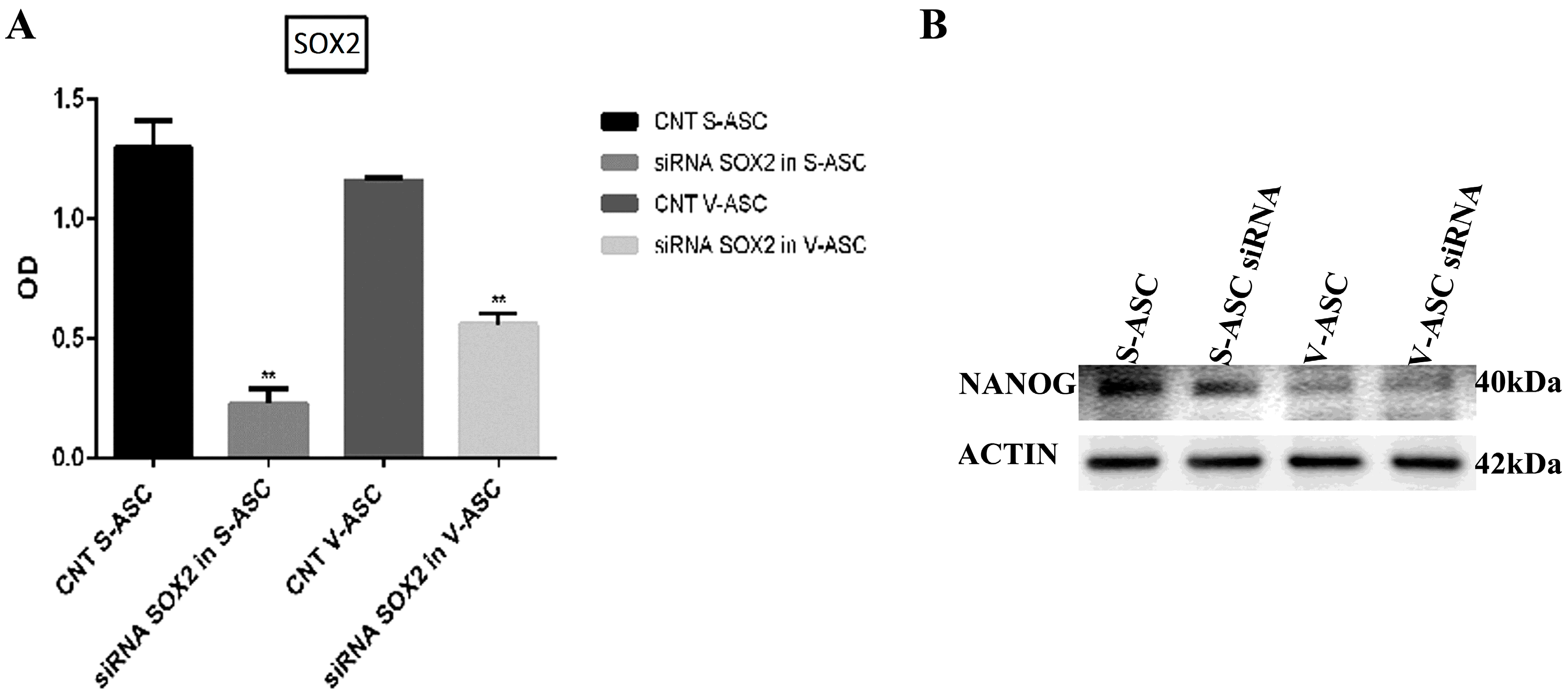 Ijms 18 01107 g010 550