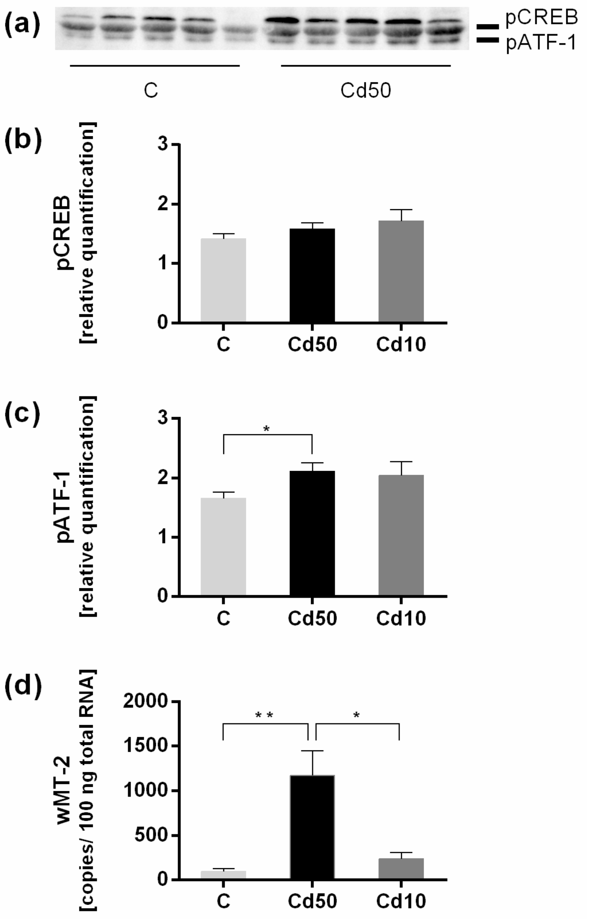 Ijms 18 01113 g005 550