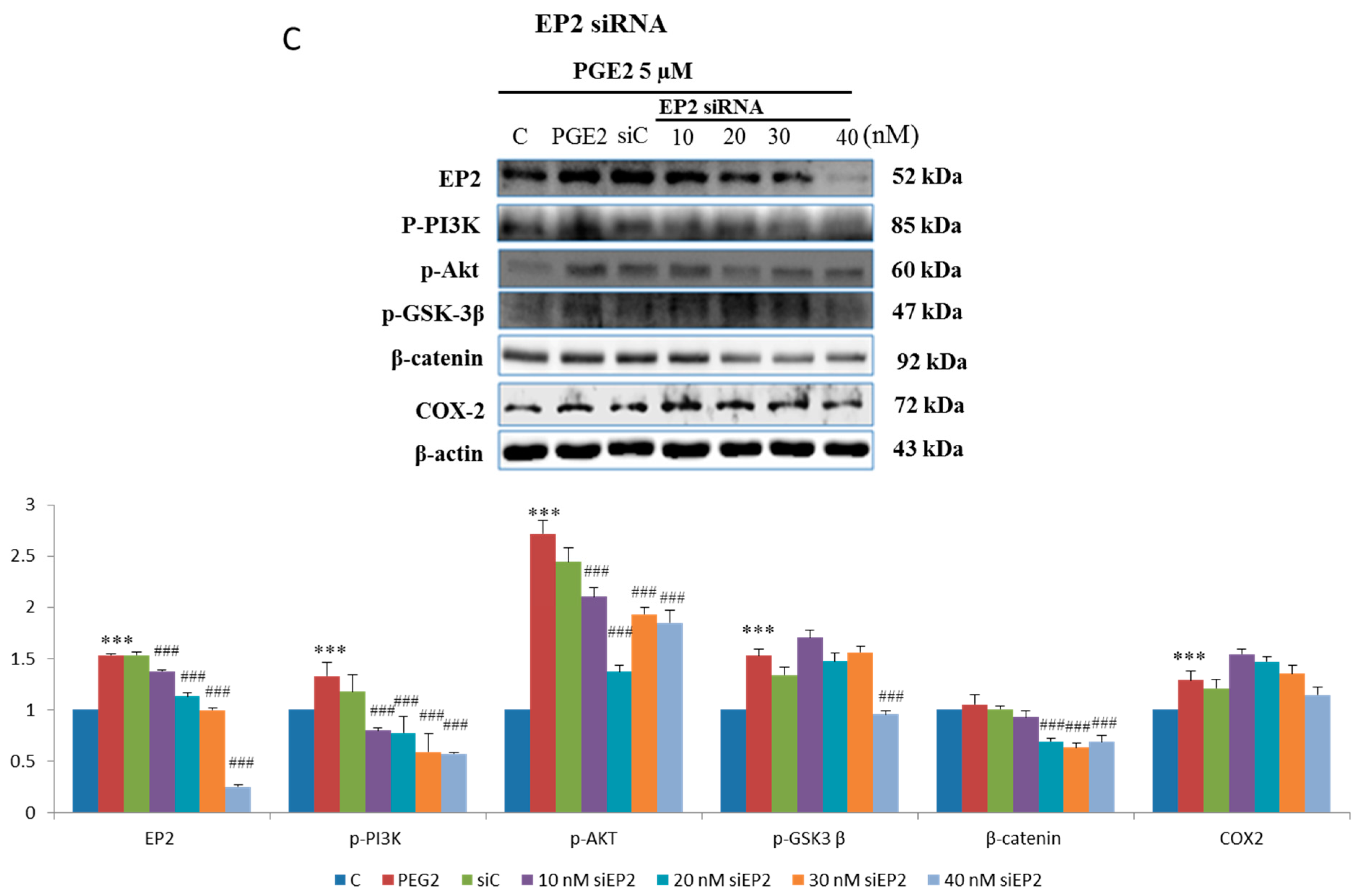 Ijms 18 01132 g003c 550