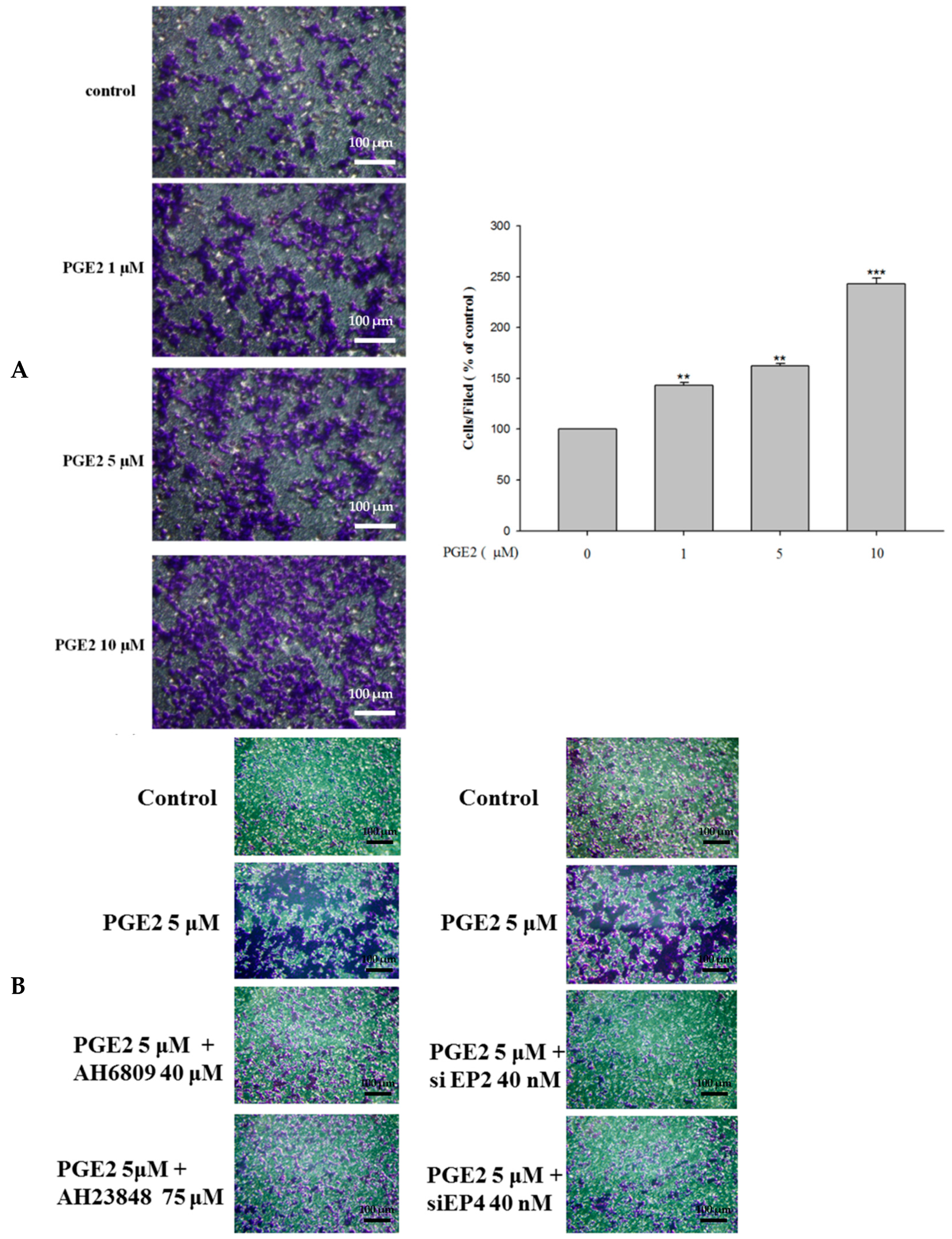 Ijms 18 01132 g005 550