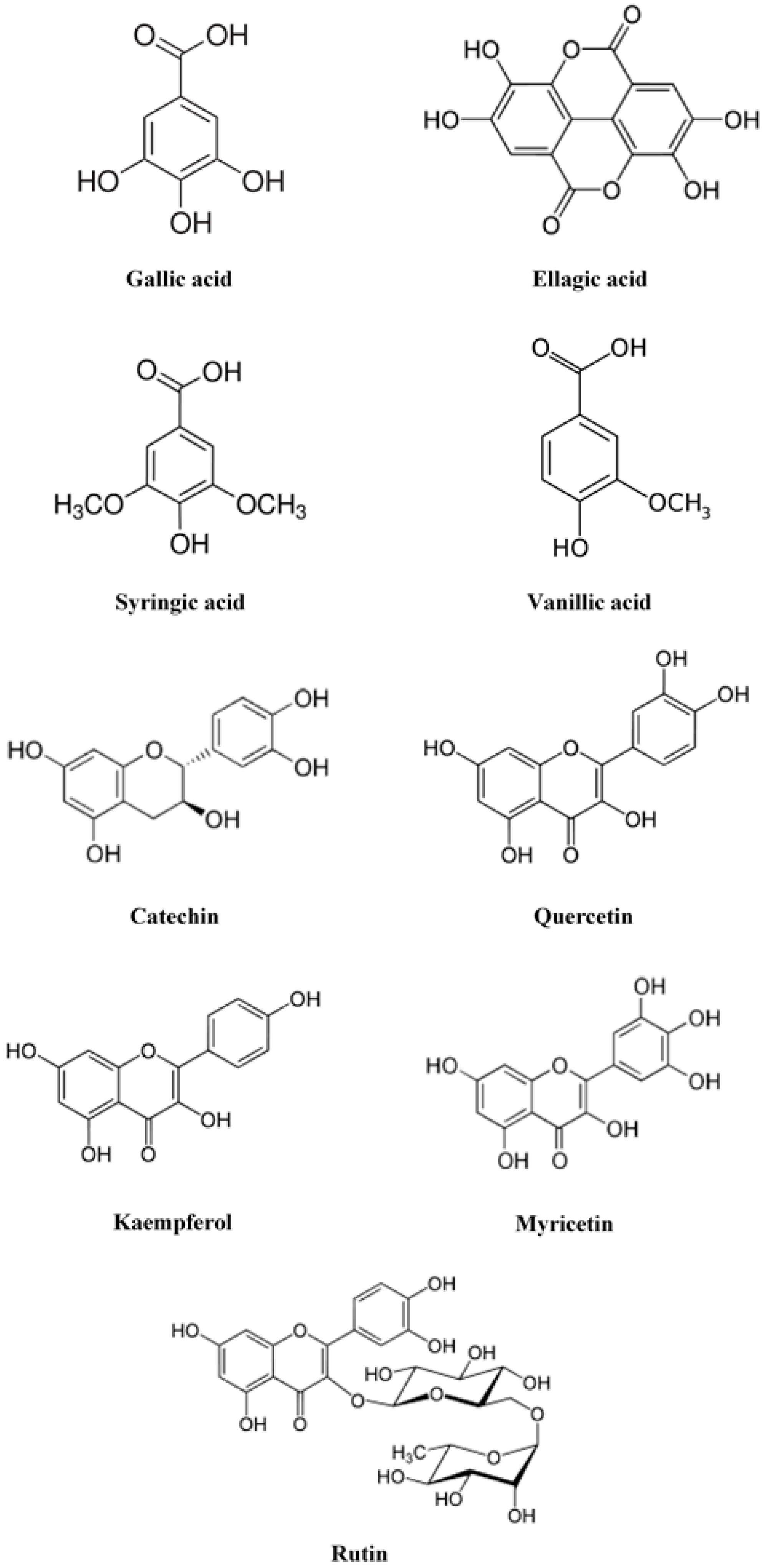 Ijms Free Full Text Therapeutic Applications Of Rose Hips From Different Rosa Species Html