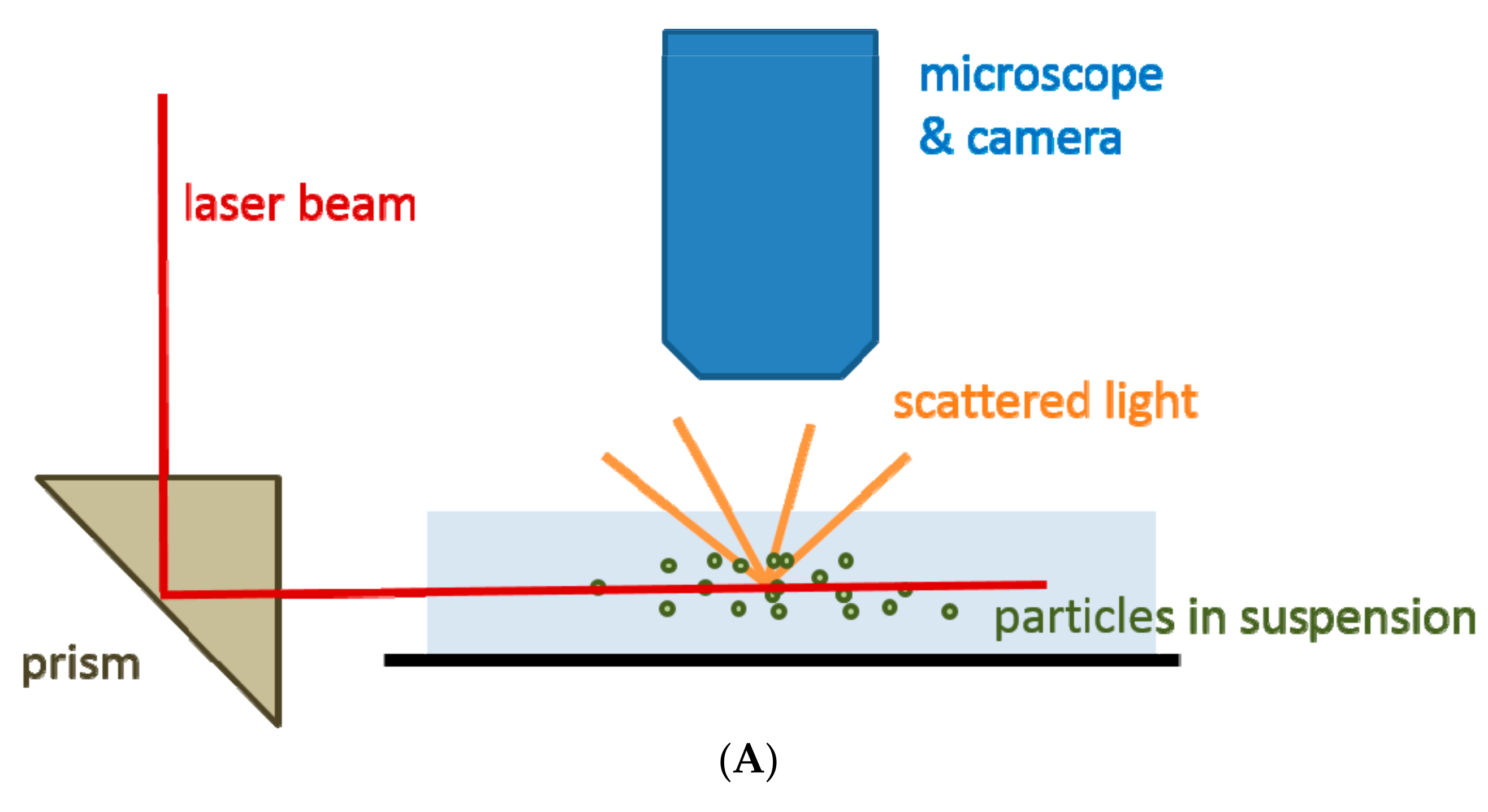 Ijms 18 01153 g004a 550