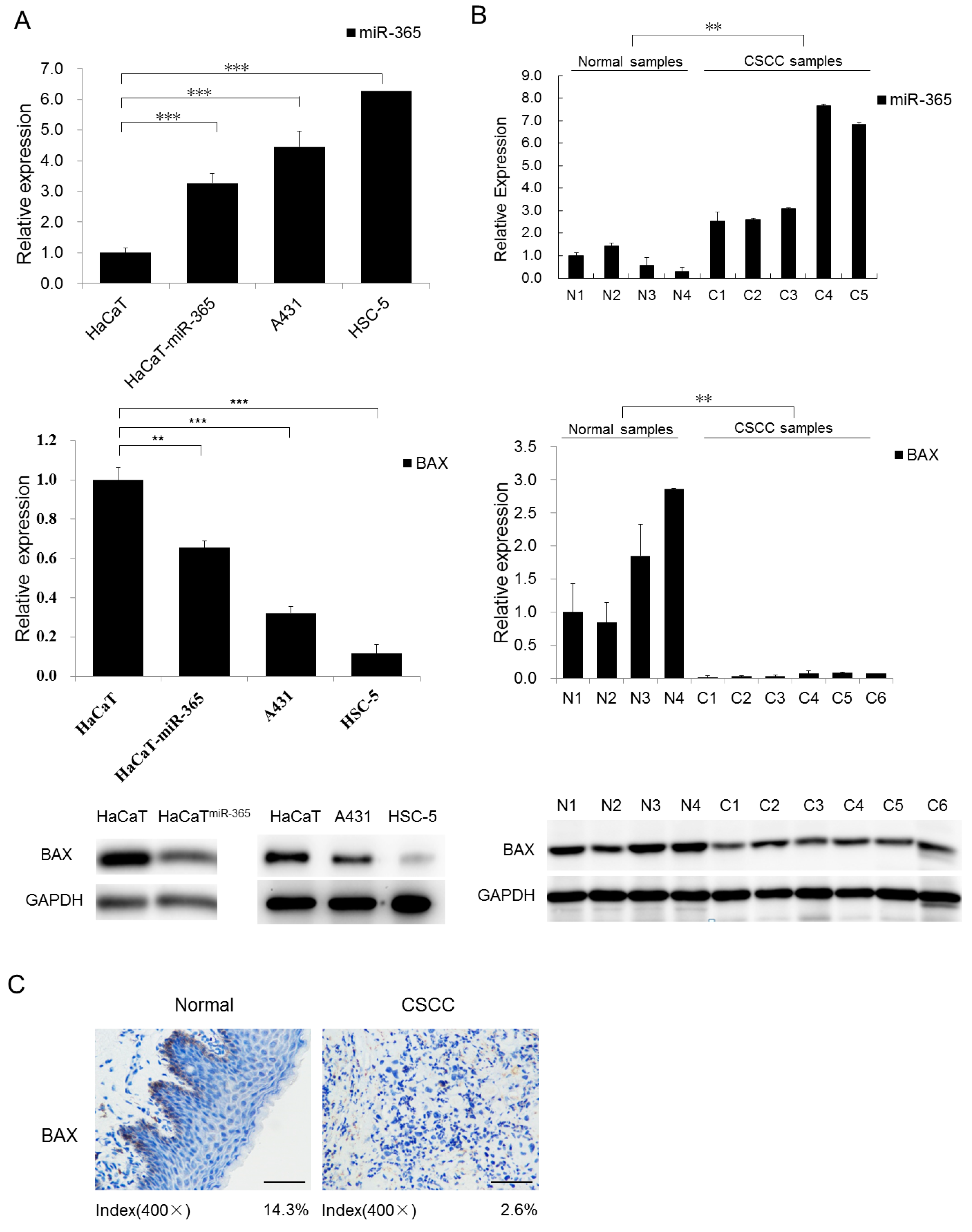 Ijms 18 01157 g001 550