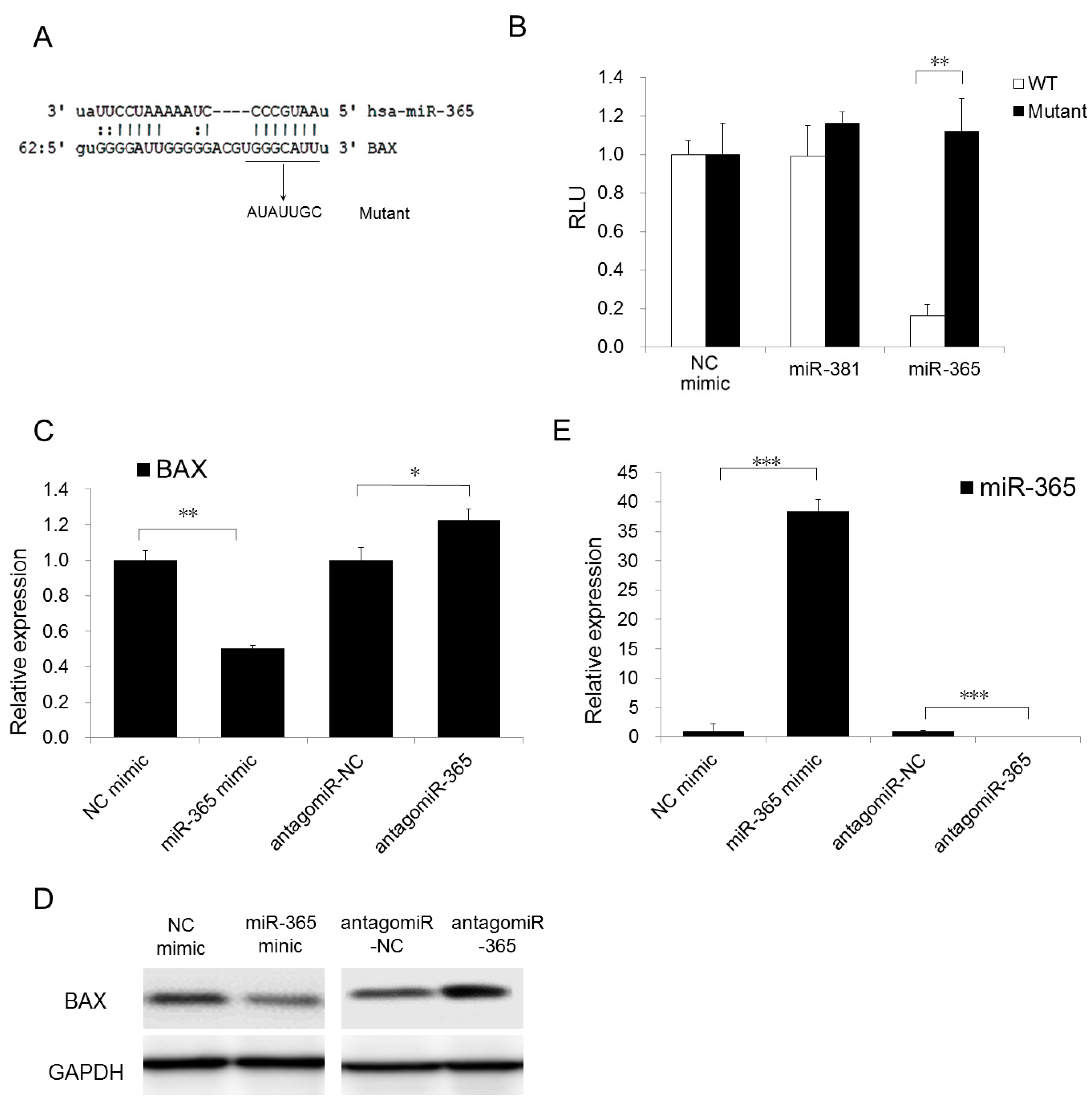 Ijms 18 01157 g002 550